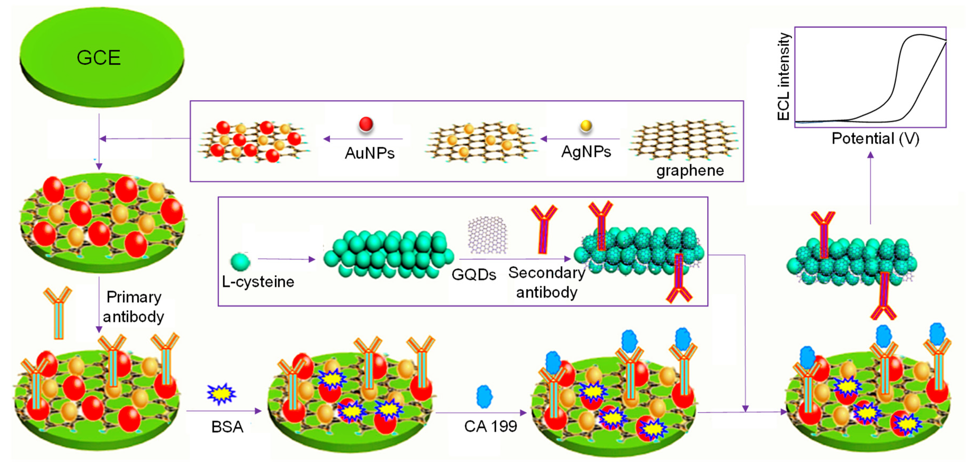 Sensors 20 01072 g010