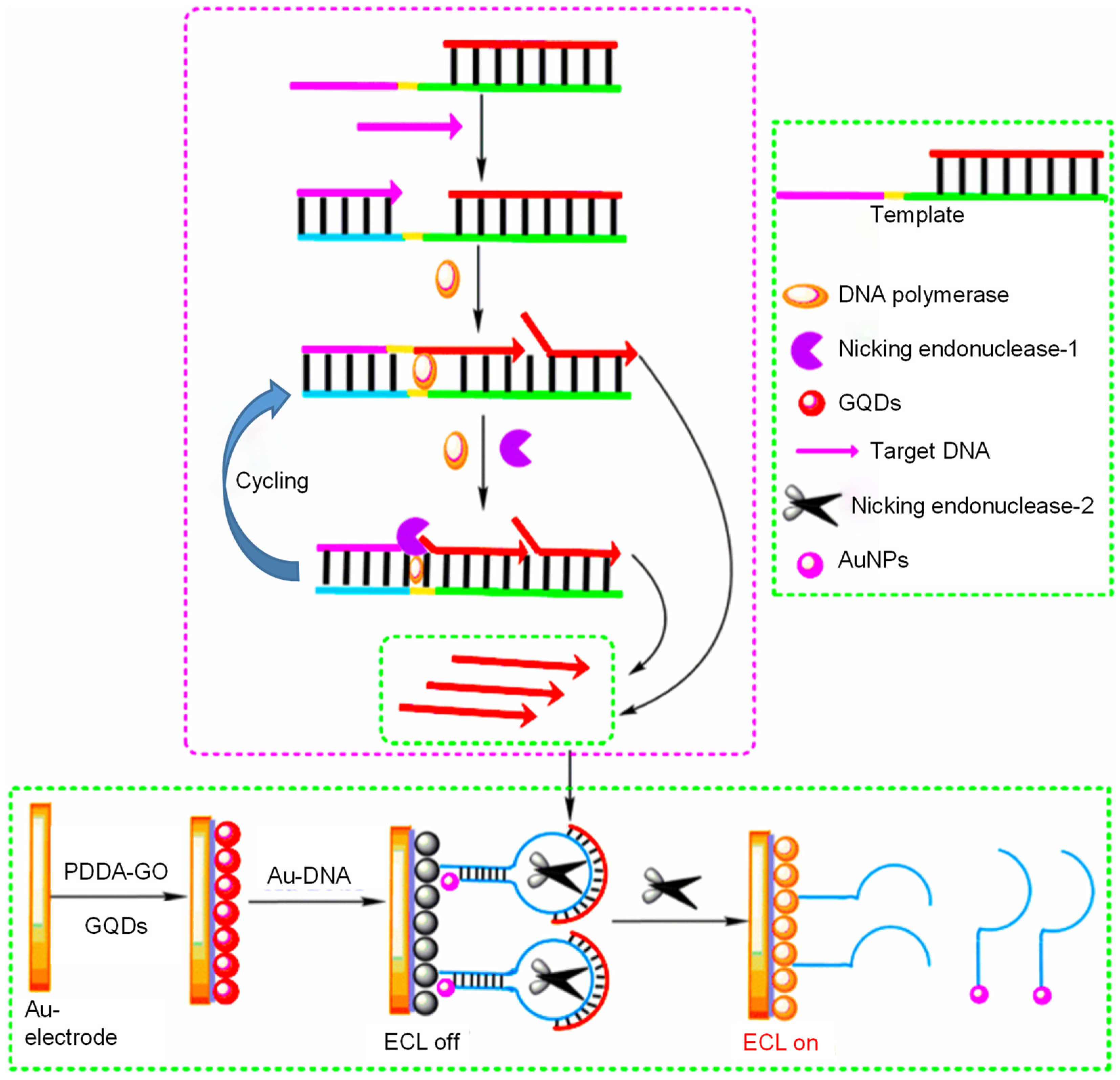 Sensors 20 01072 g012