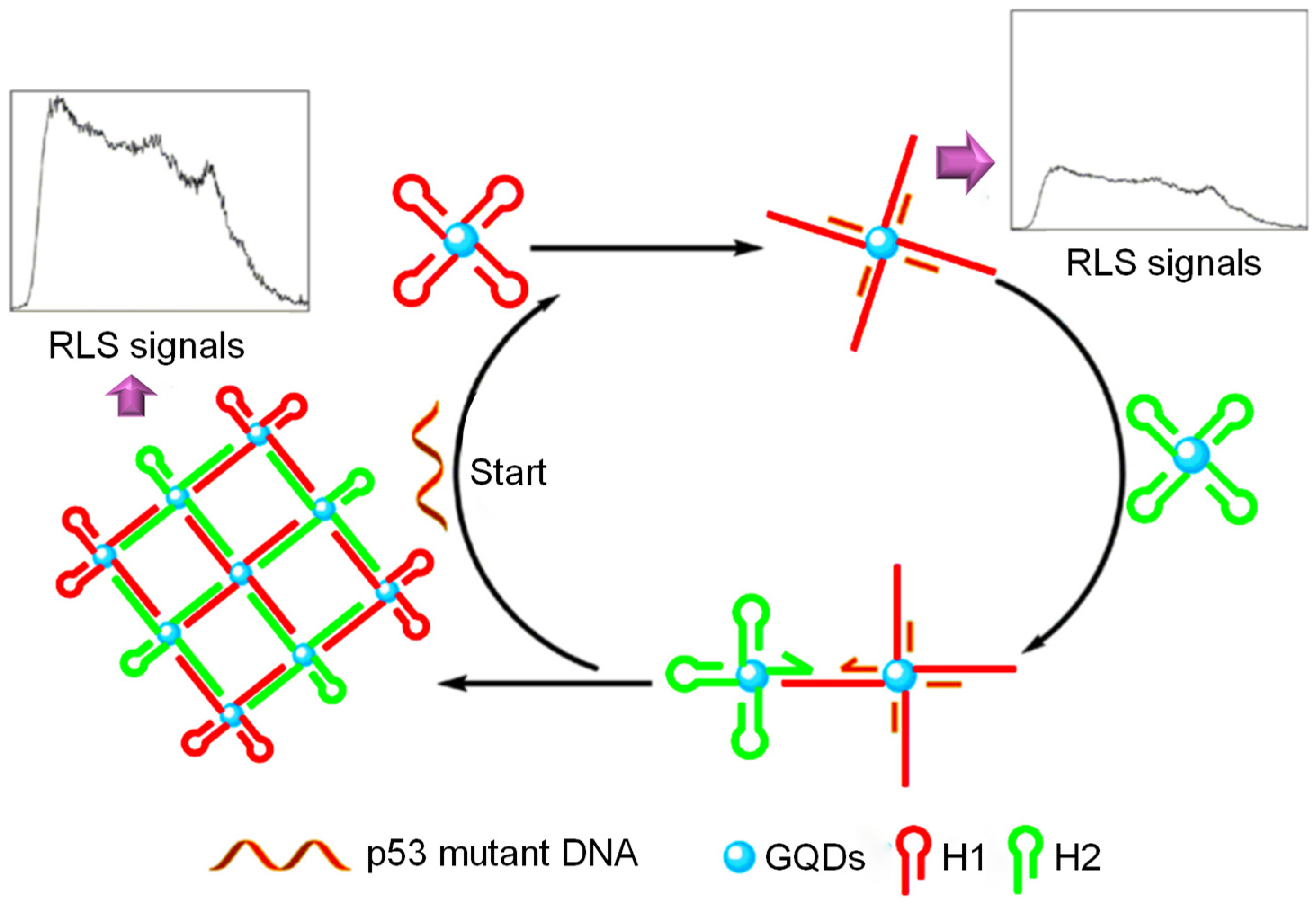 Sensors 20 01072 g031