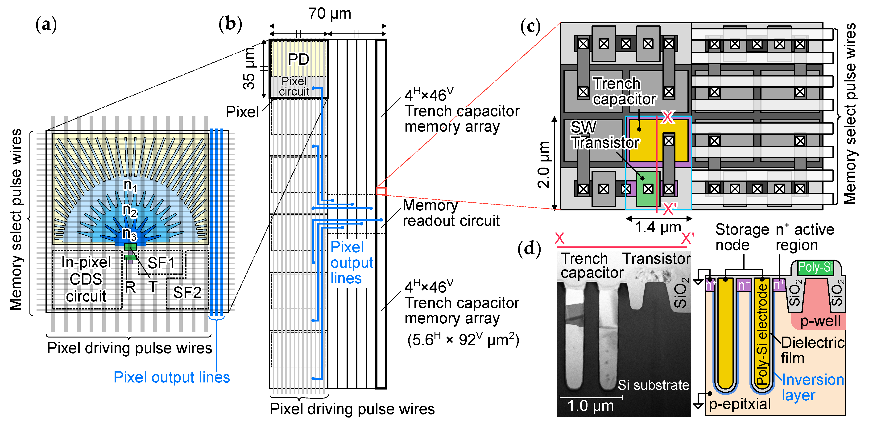 Sensors 20 01086 g005