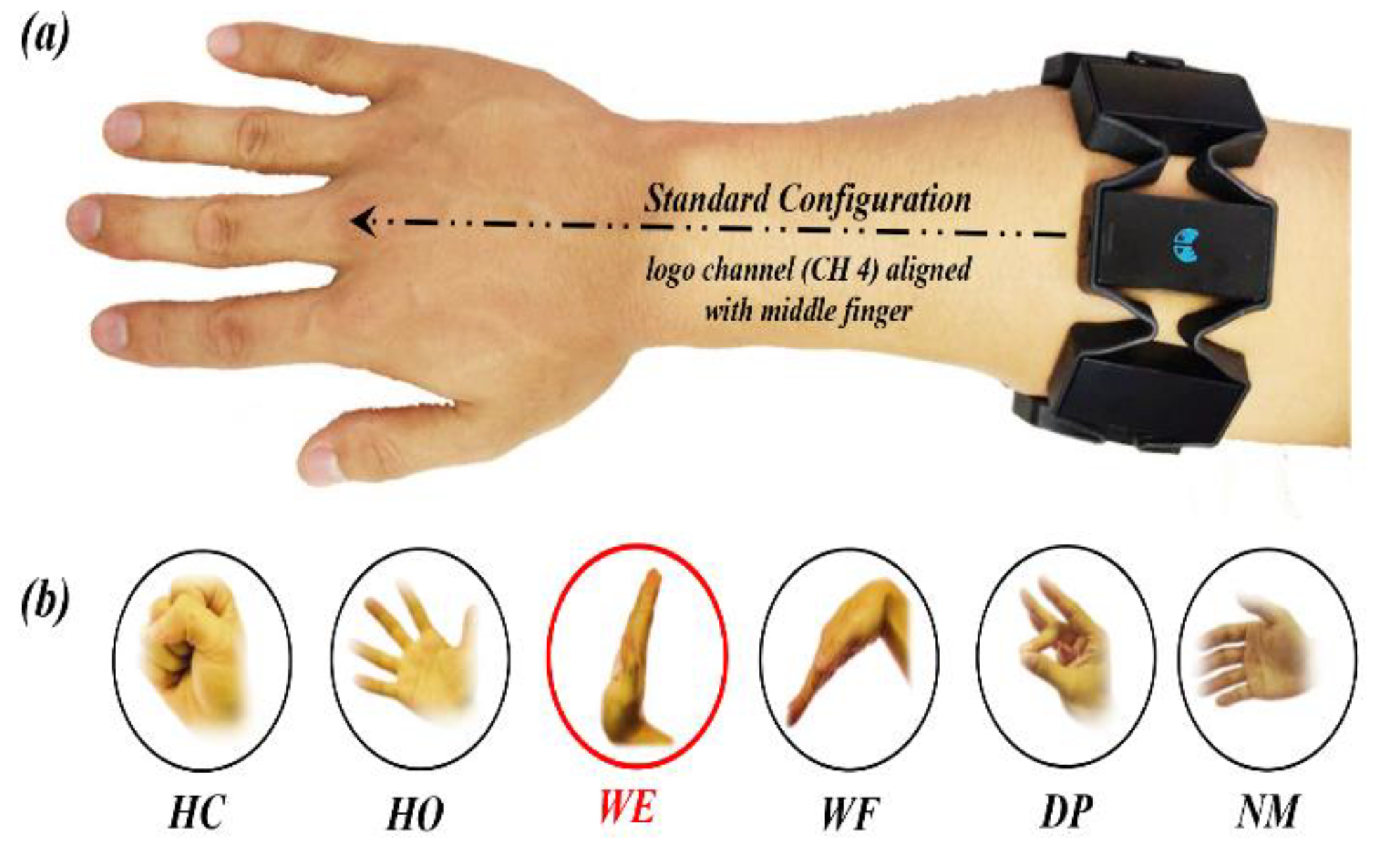 Sensors 20 01113 g002