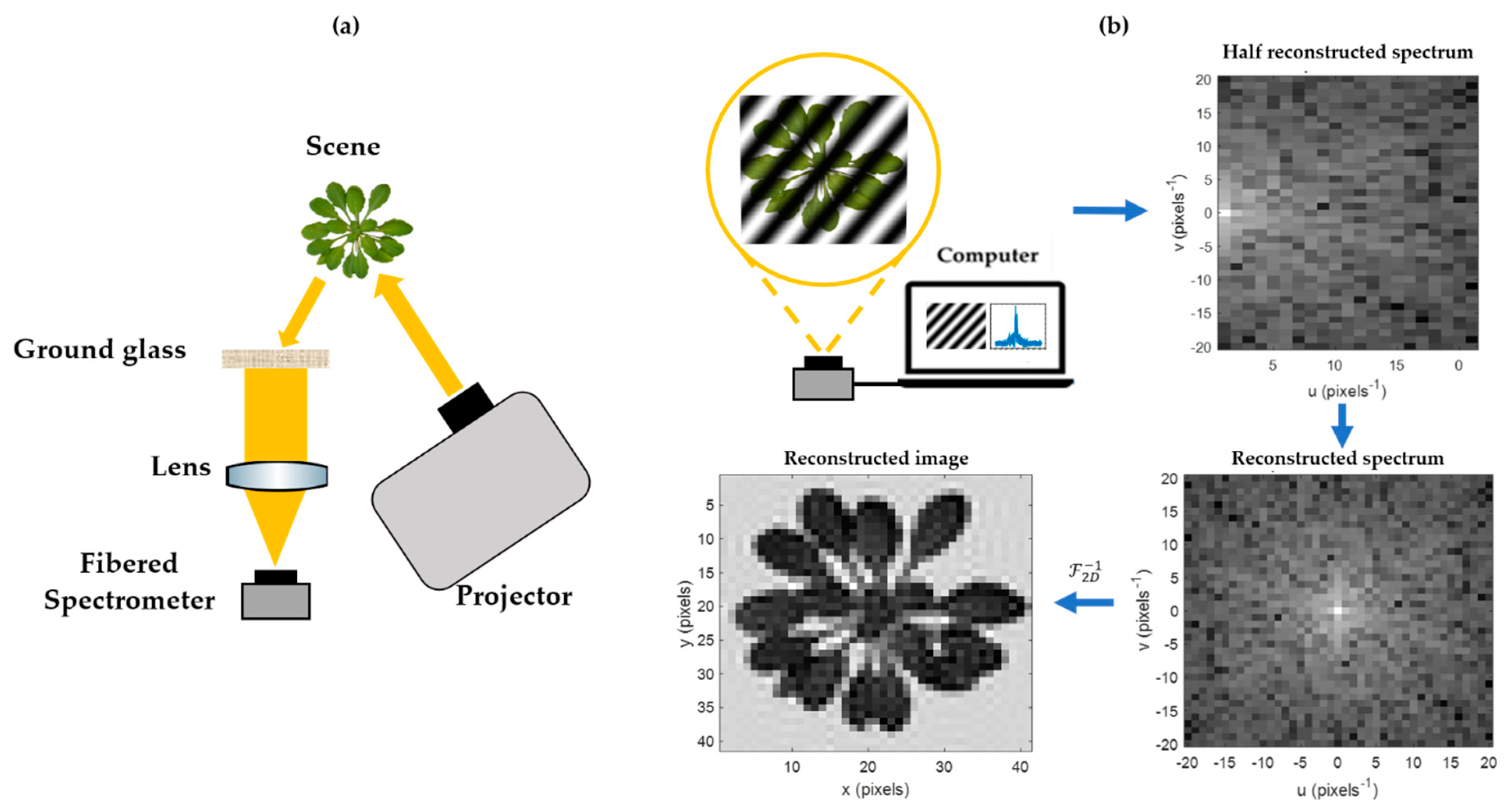 Sensors 20 01132 g001