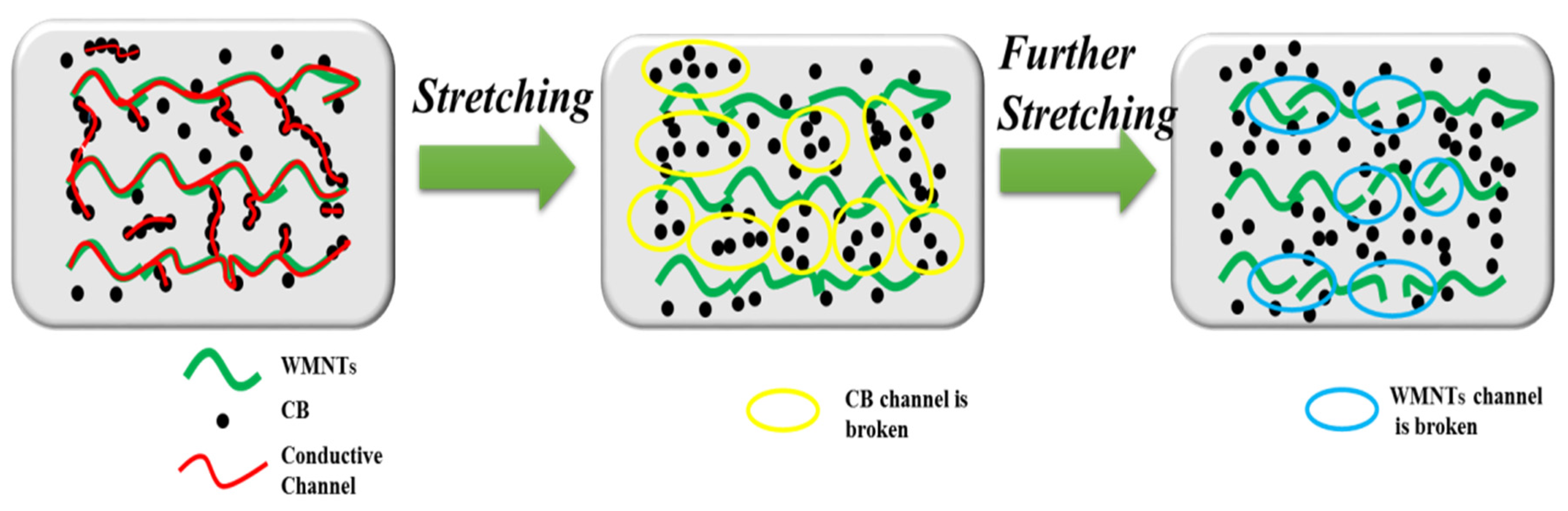 Sensors 20 01154 g005