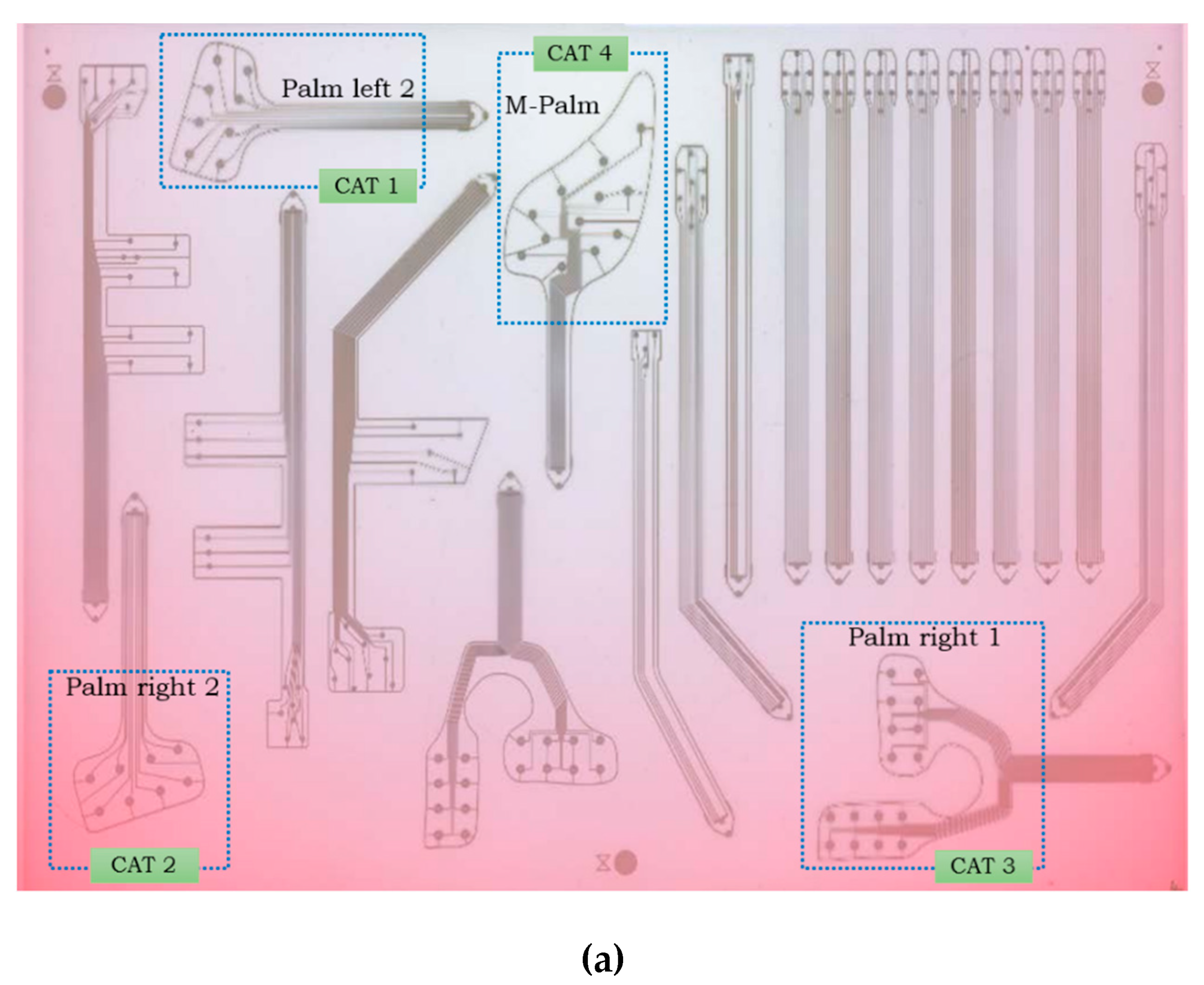 Sensors 20 01160 g011a