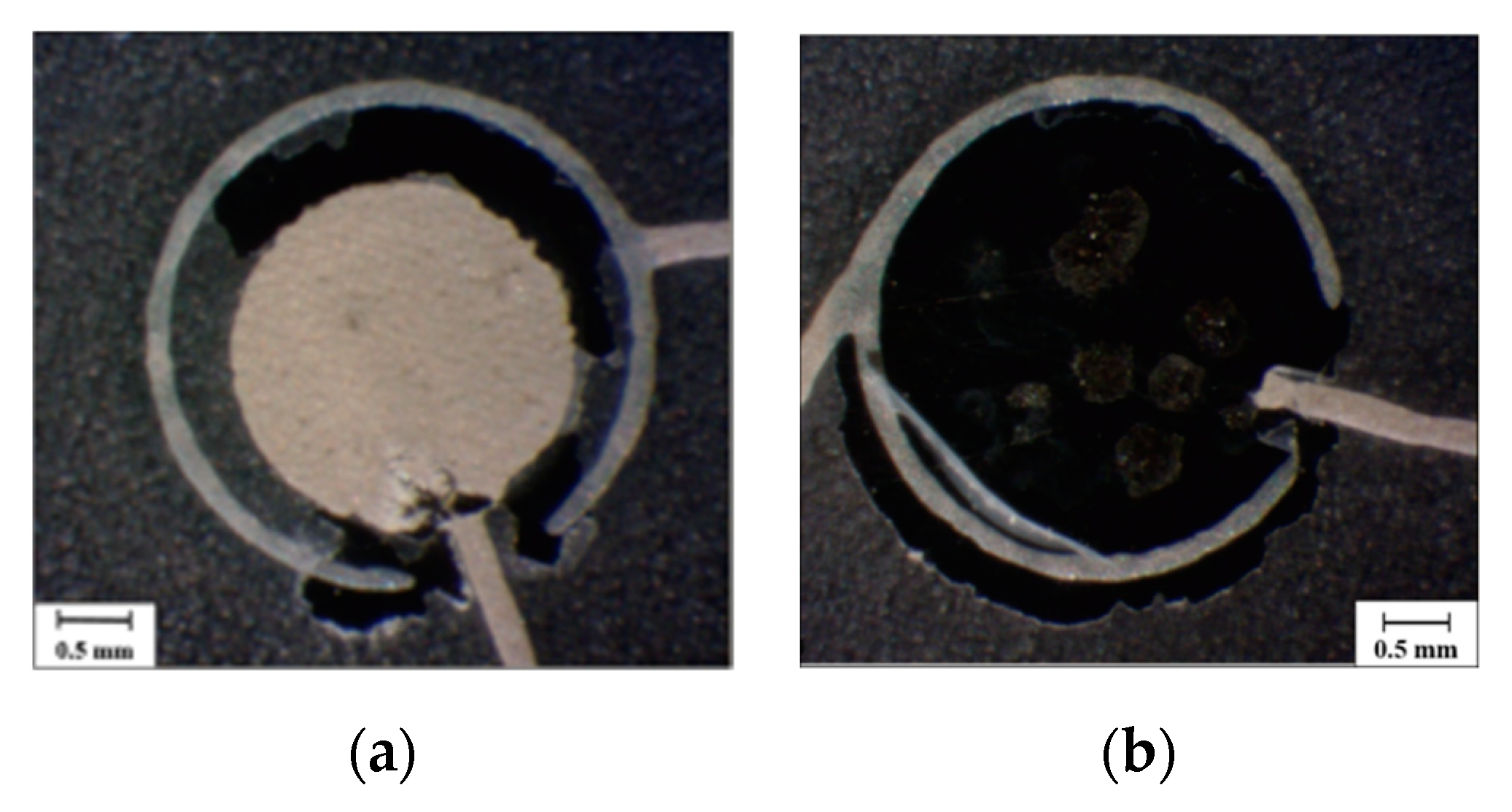 Sensors 20 01160 g019