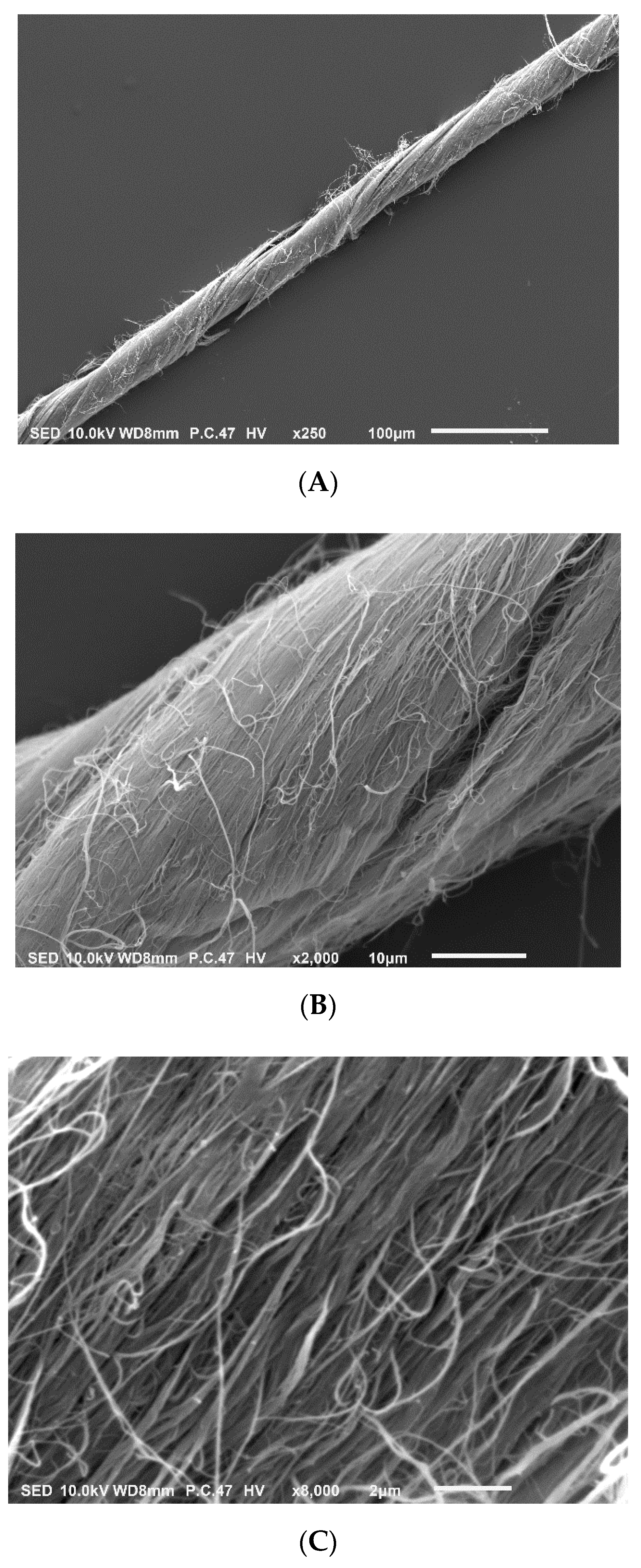 Sensors 20 01173 g001 Sensors 20 01173 g001