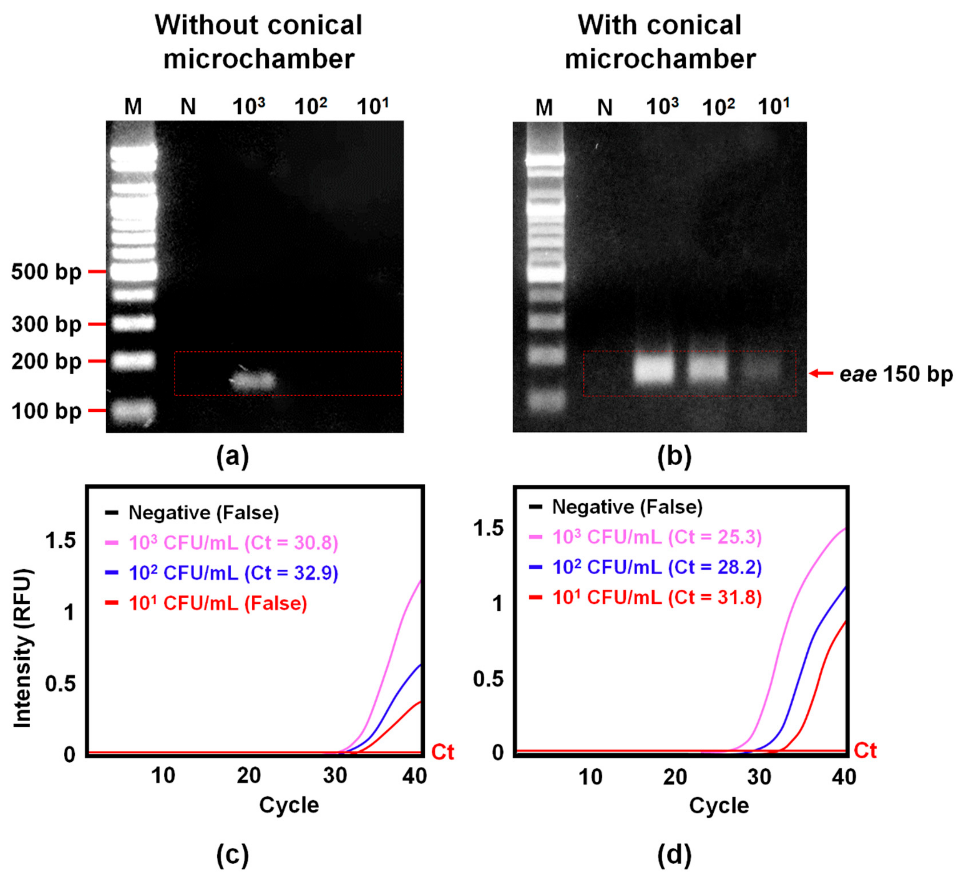 Sensors 20 01202 g006