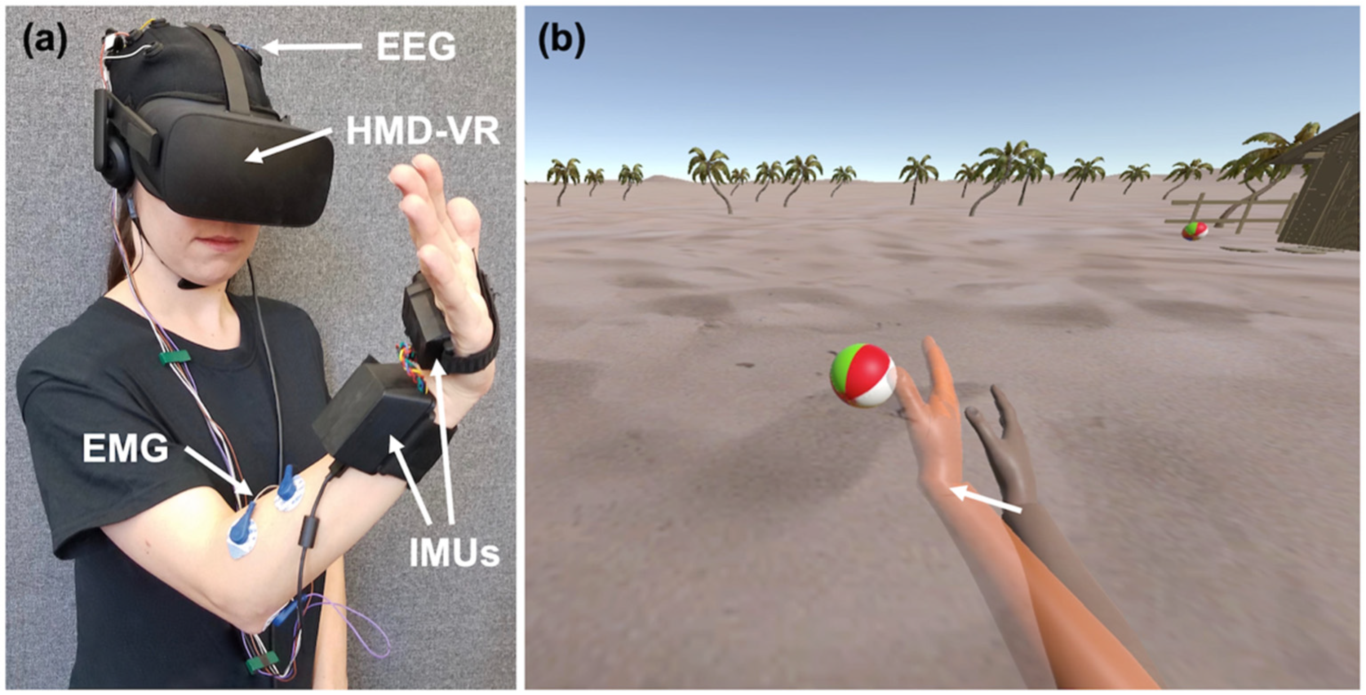 Sensors 20 01204 g001 Sensors 20 01204 g001