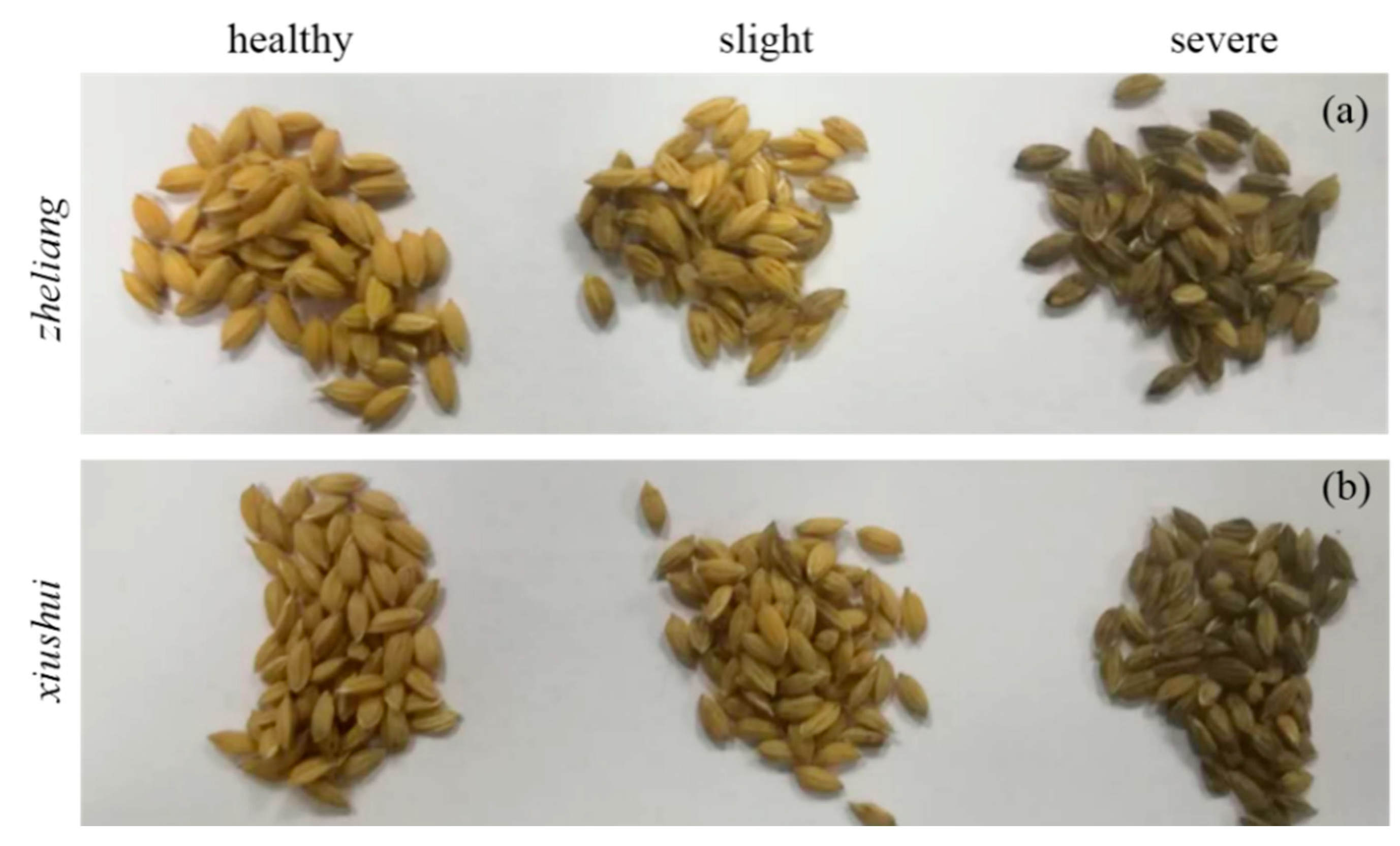 Sensors 20 01209 g001 Sensors 20 01209 g001