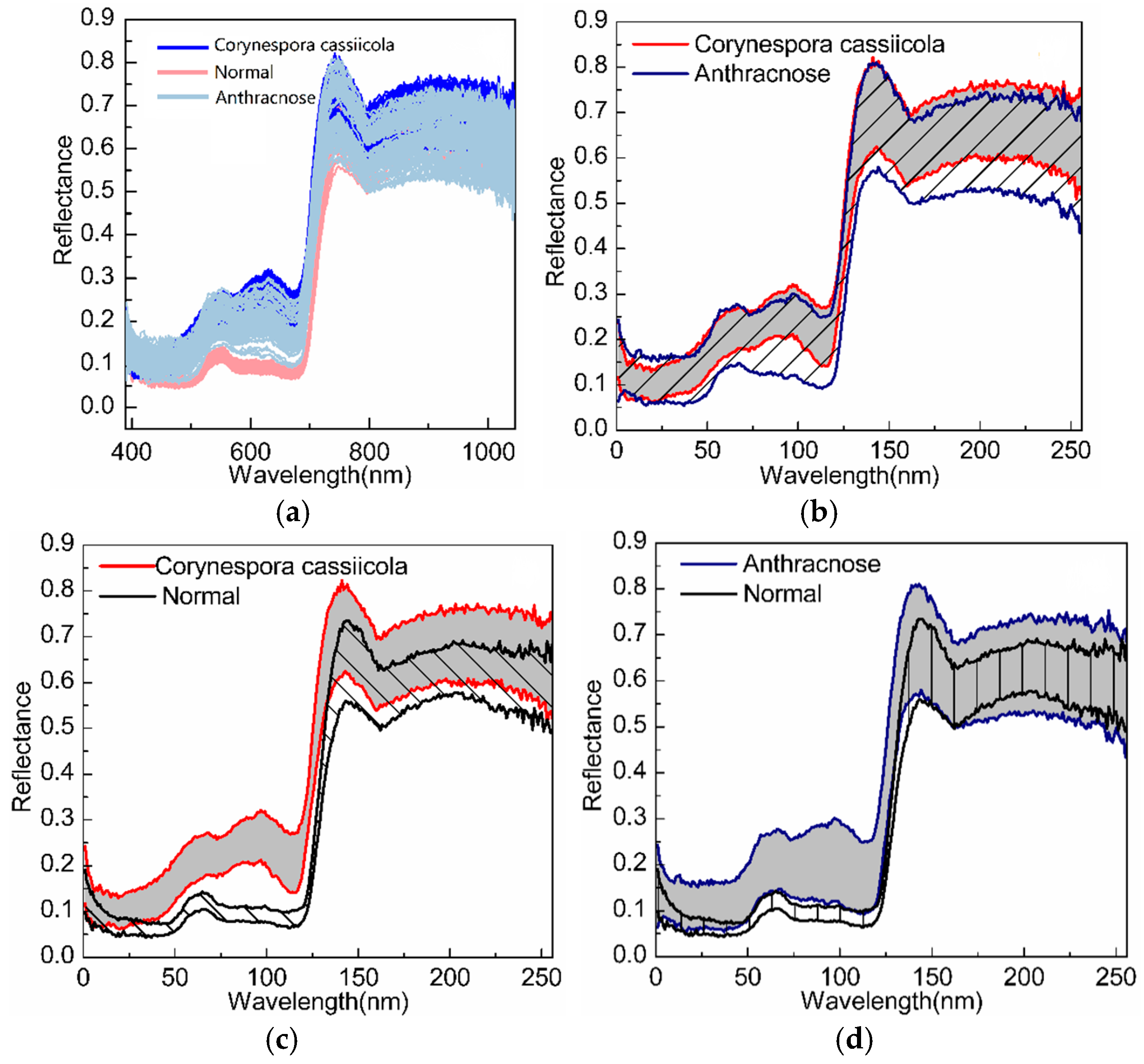 Sensors 20 01217 g005