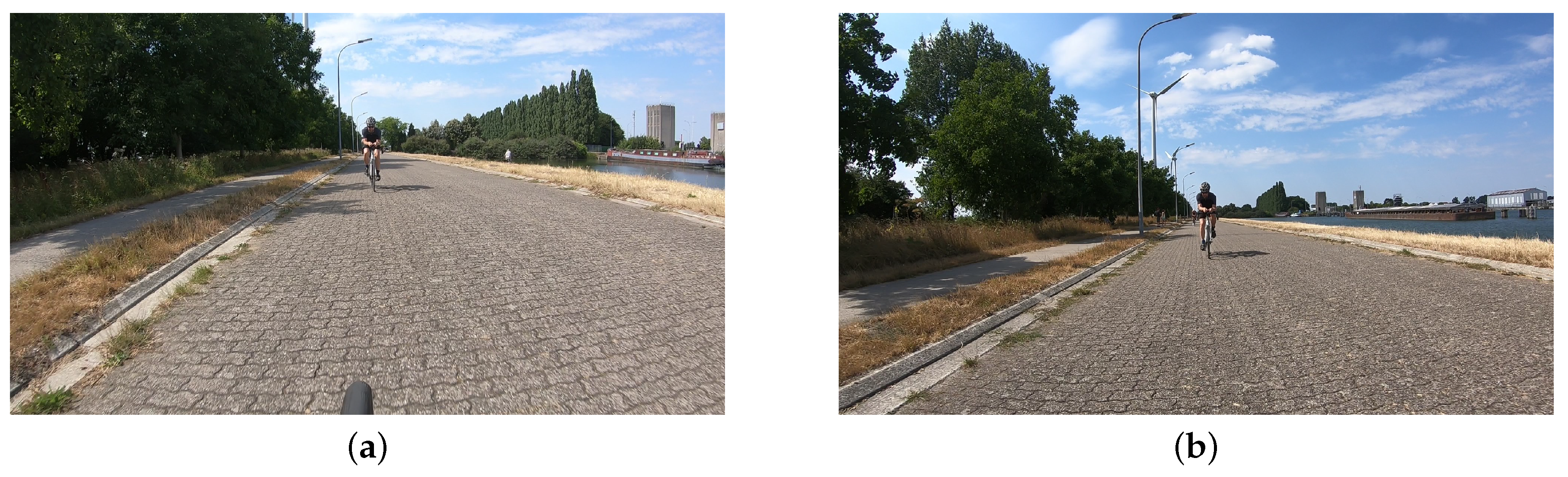 Sensors 20 01241 g007