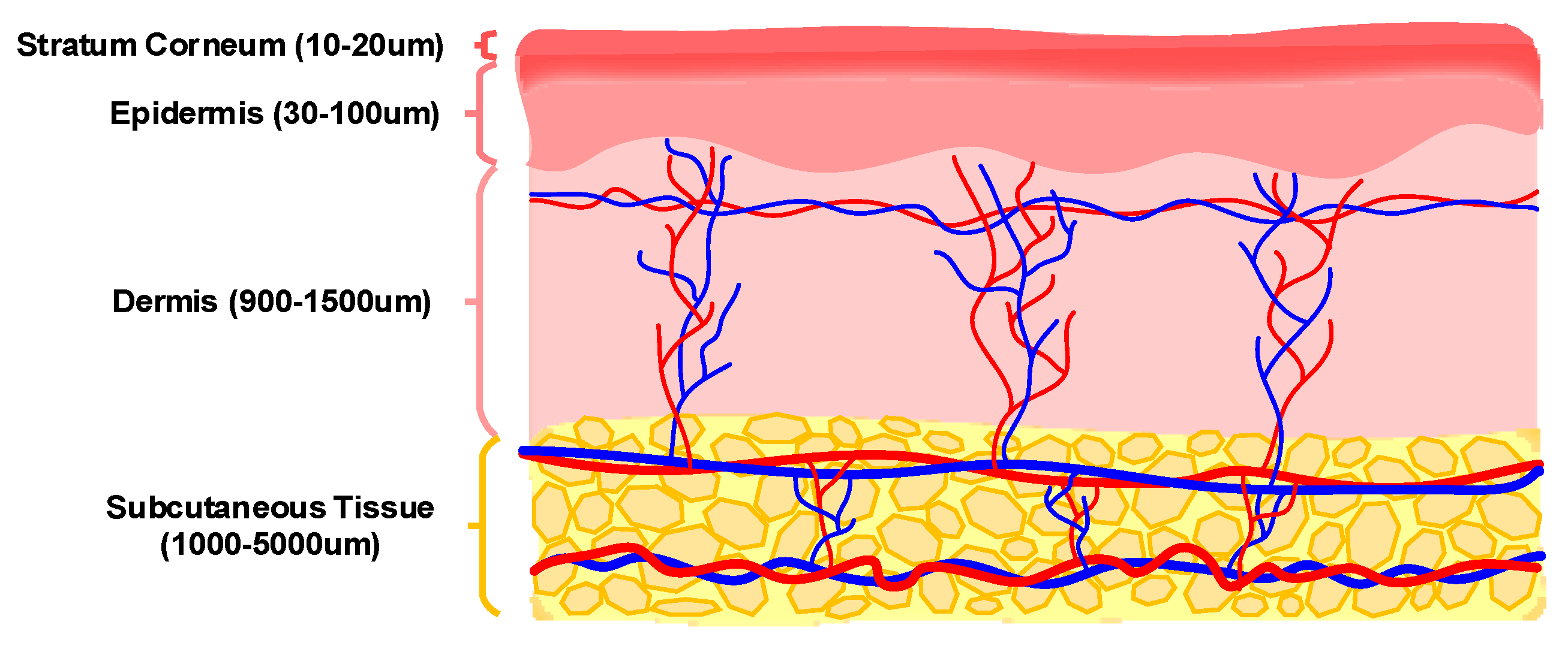 Sensors 20 01251 g003