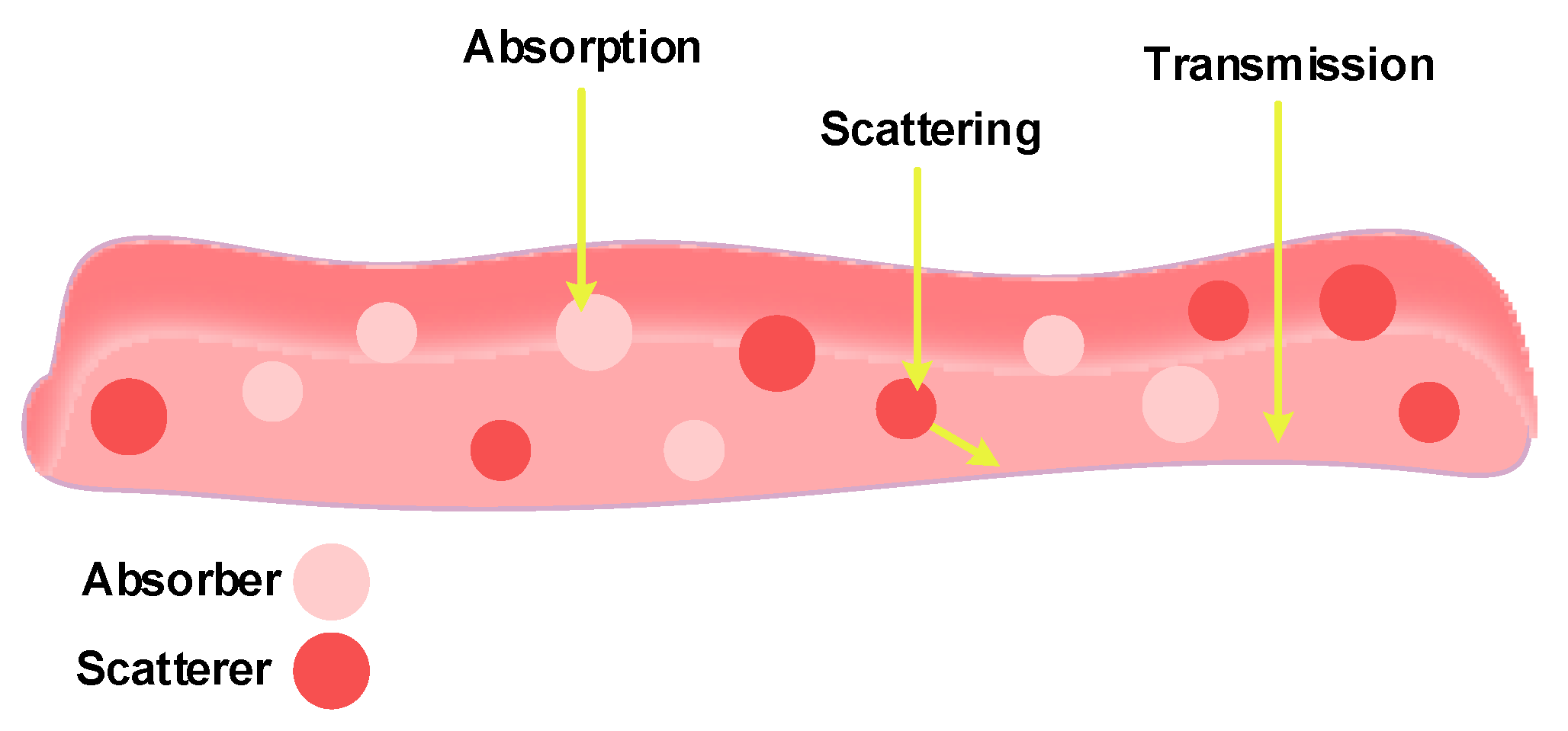 Sensors 20 01251 g004