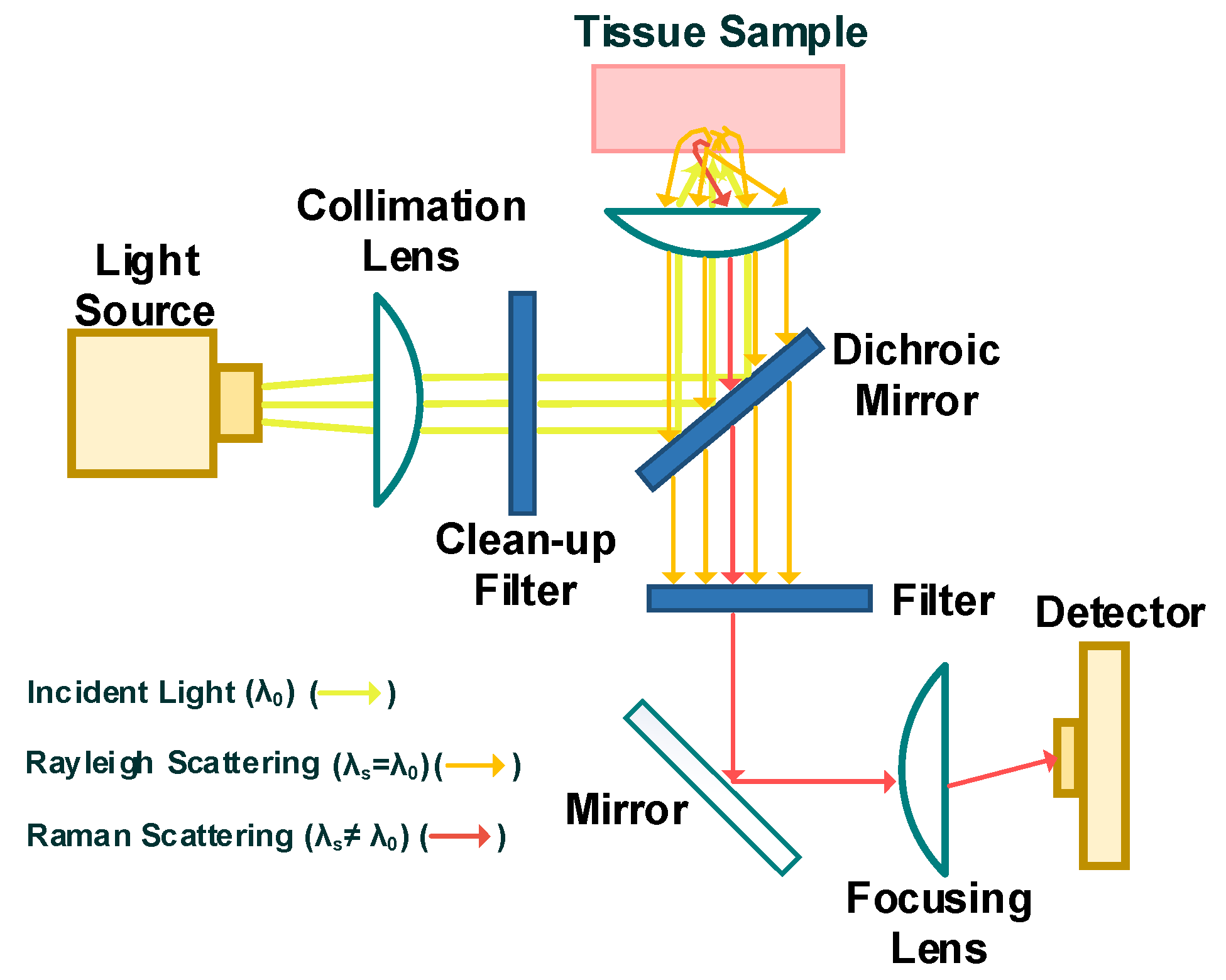 Sensors 20 01251 g007