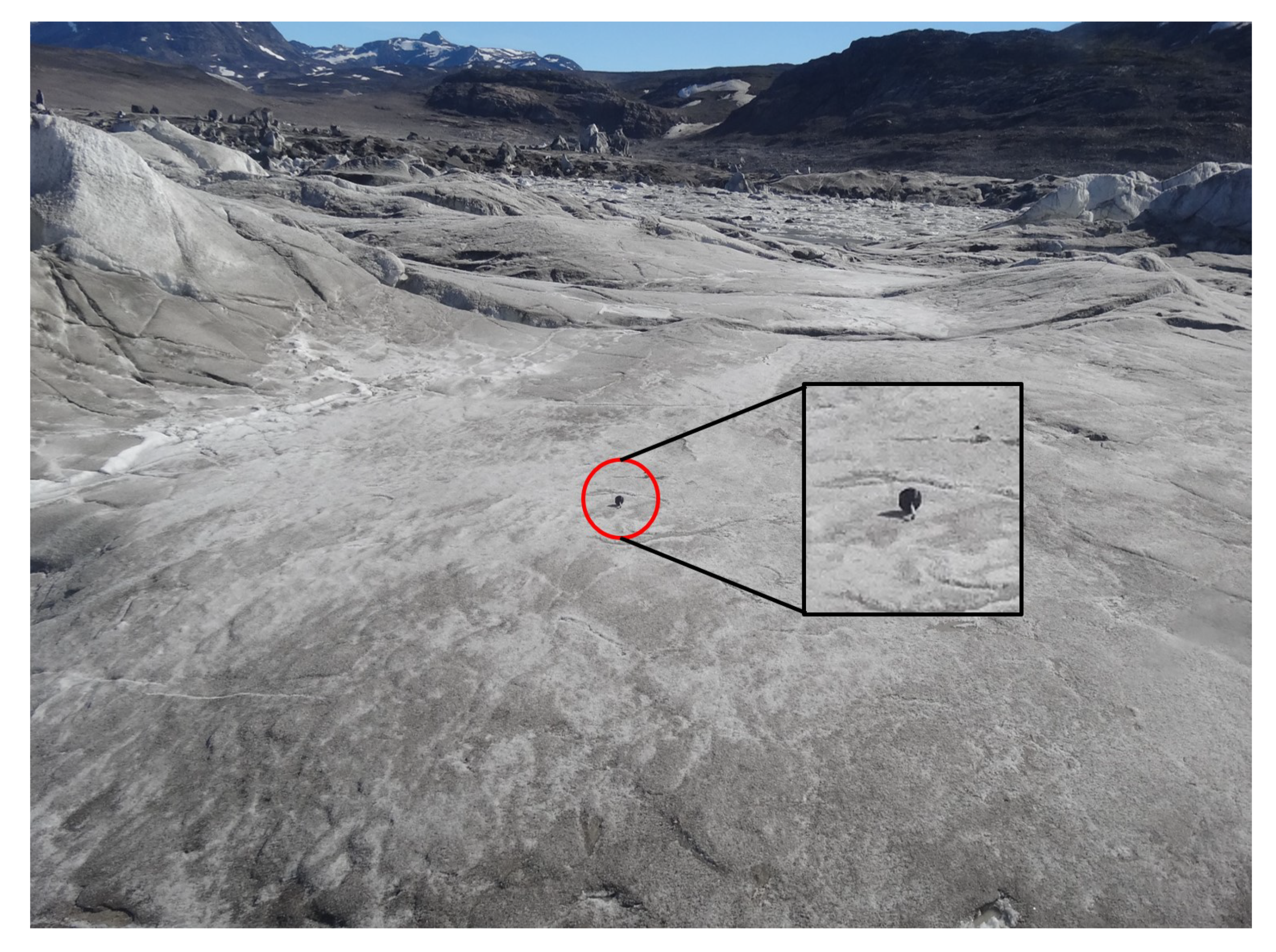 Sensors 20 01254 g005 Sensors 20 01254 g005