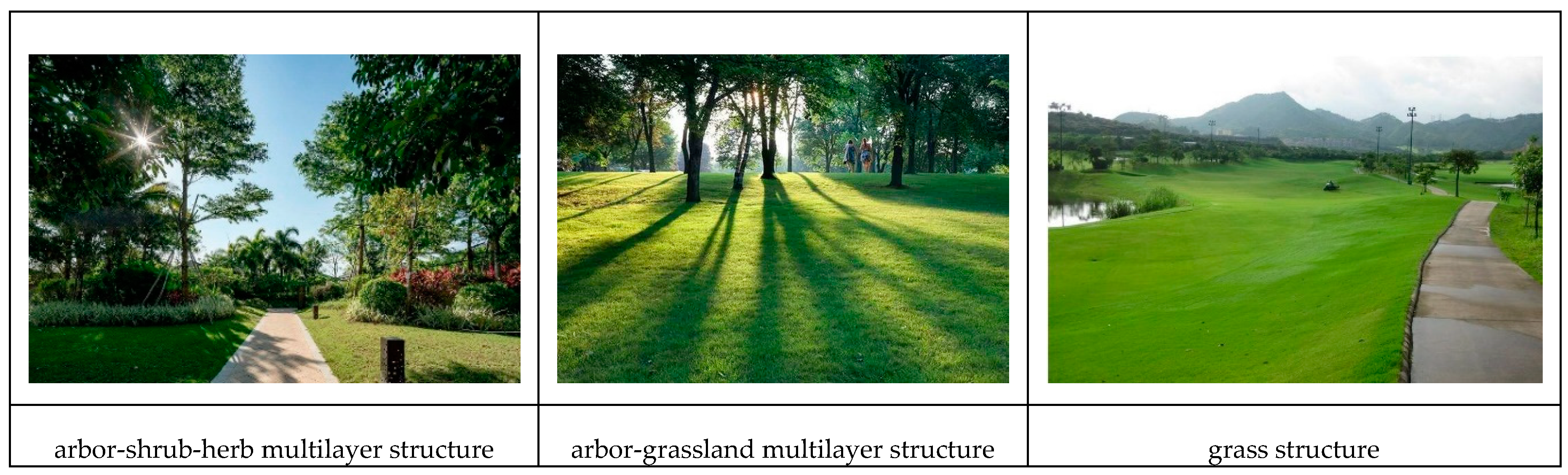 Sensors 20 01259 g008