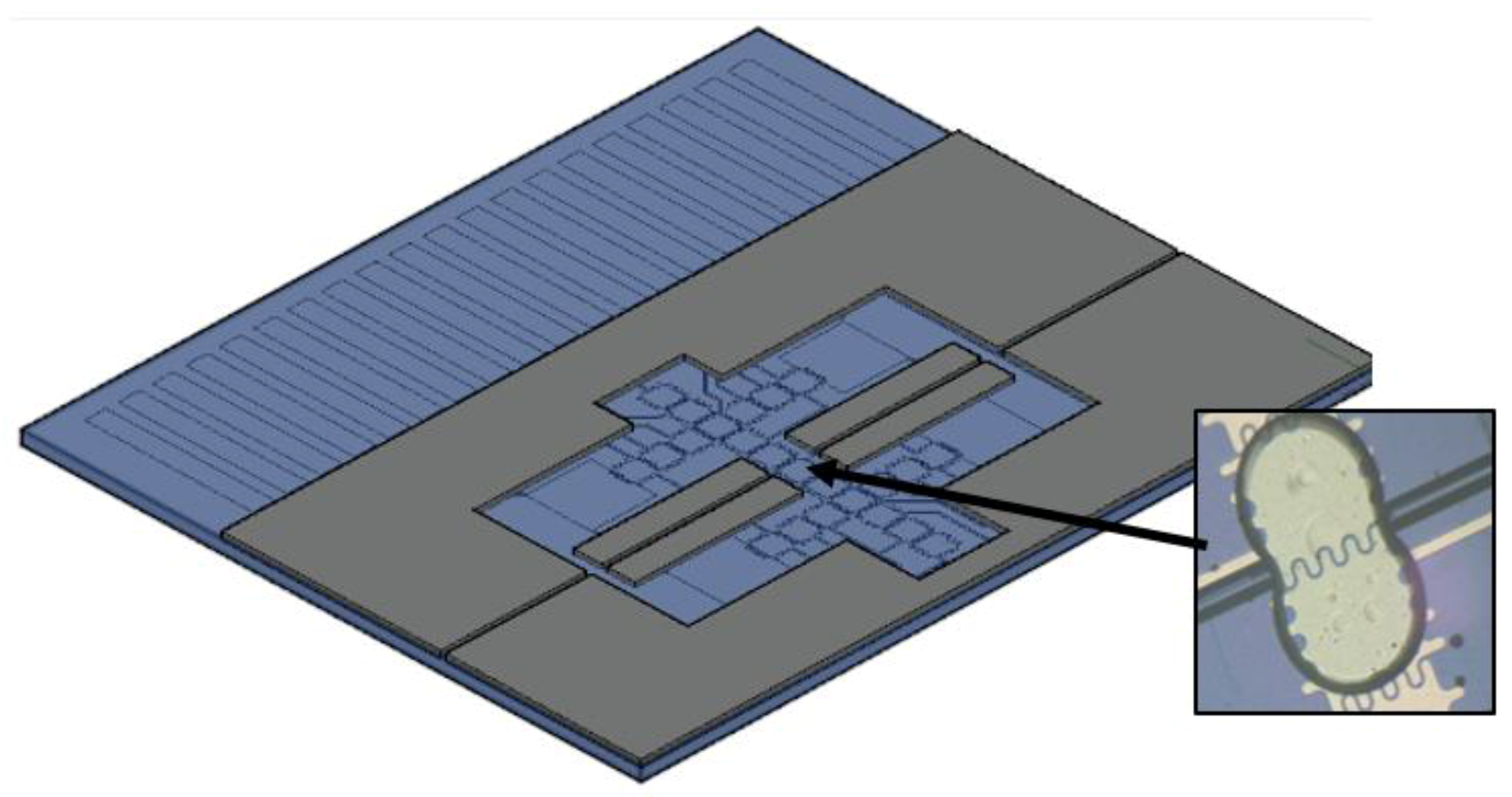 Sensors 20 01281 g007