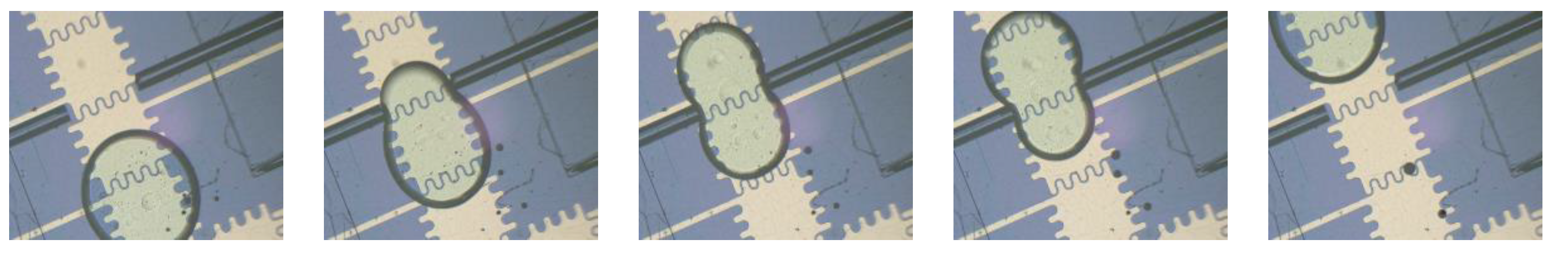 Sensors 20 01281 g009