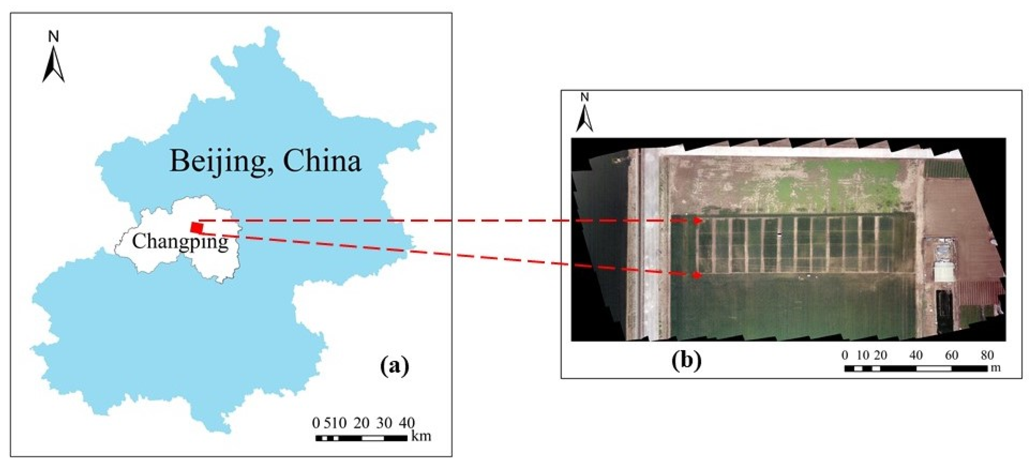 Sensors 20 01296 g001