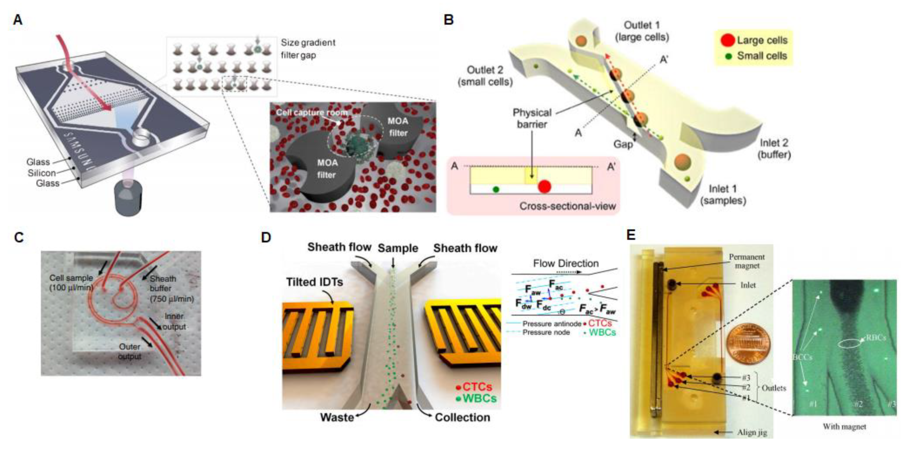 Sensors 20 01317 g002