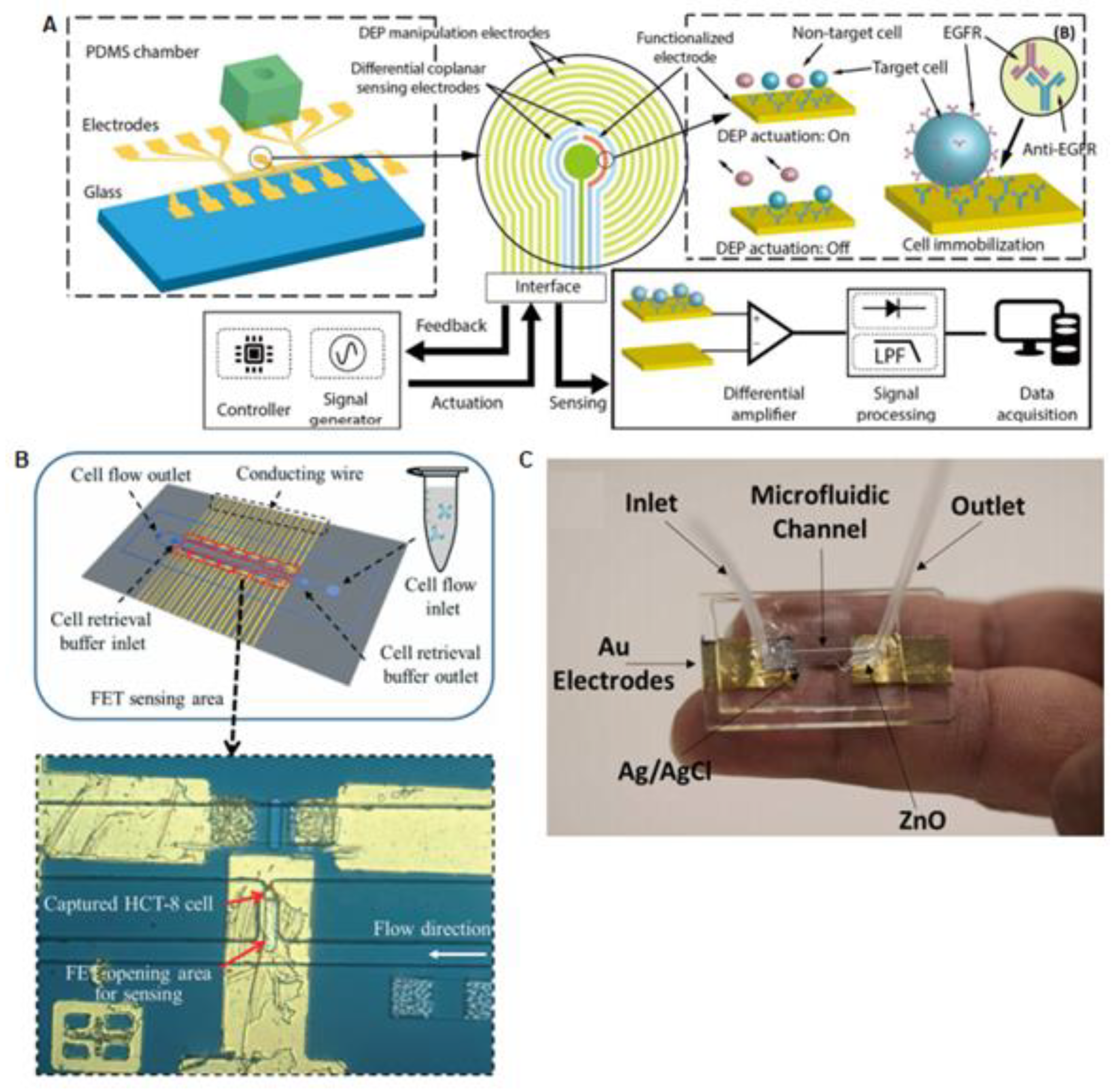 Sensors 20 01317 g003