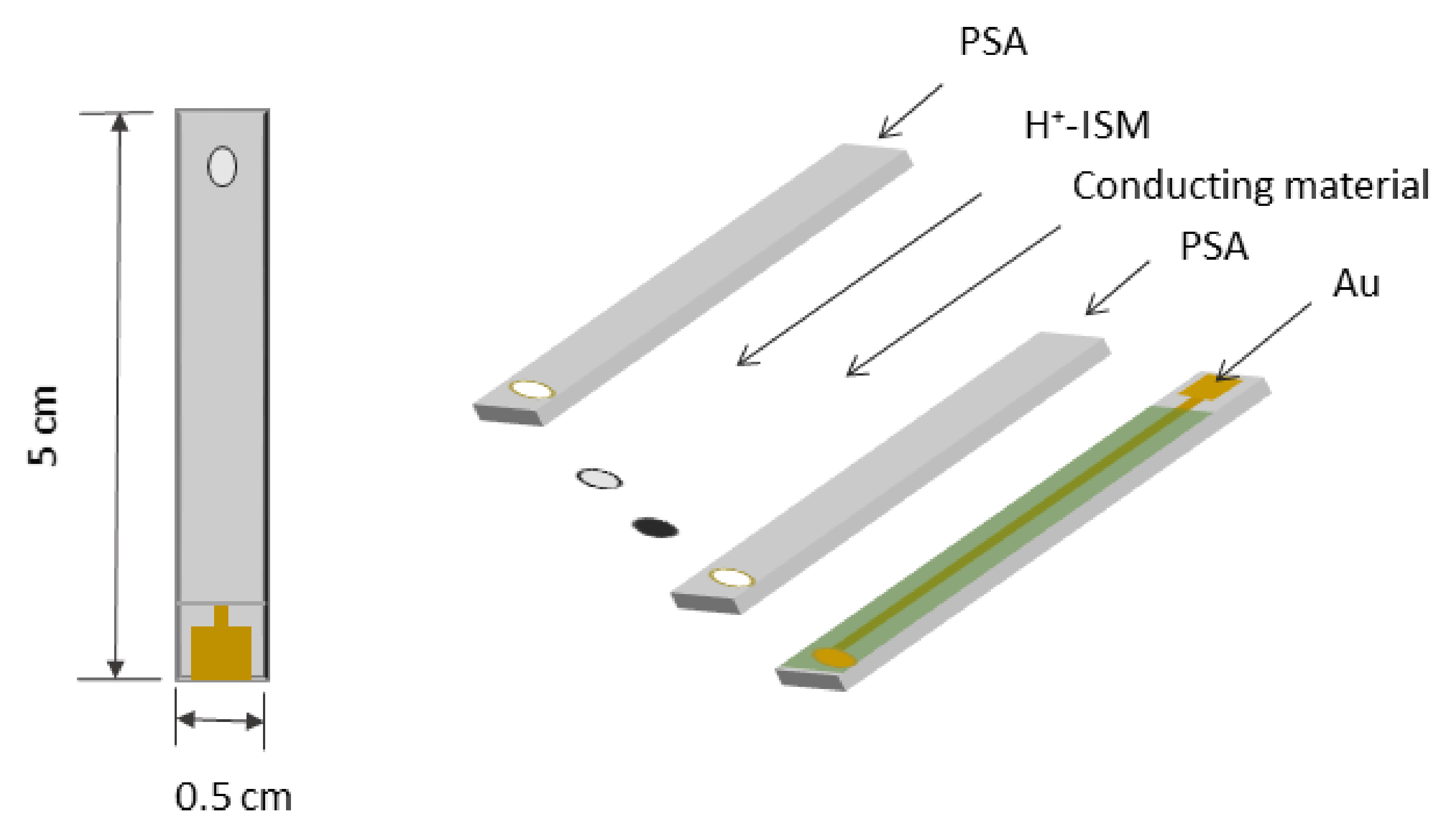 Sensors 20 01348 g001
