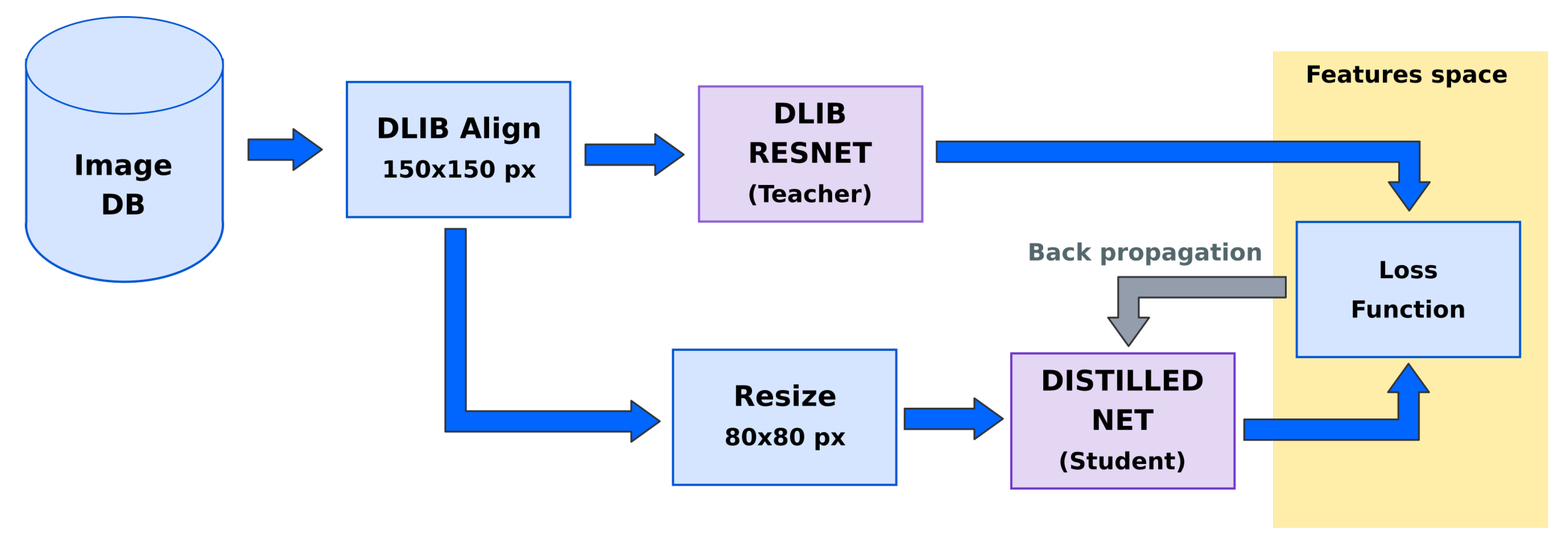 Sensors 20 01369 g007