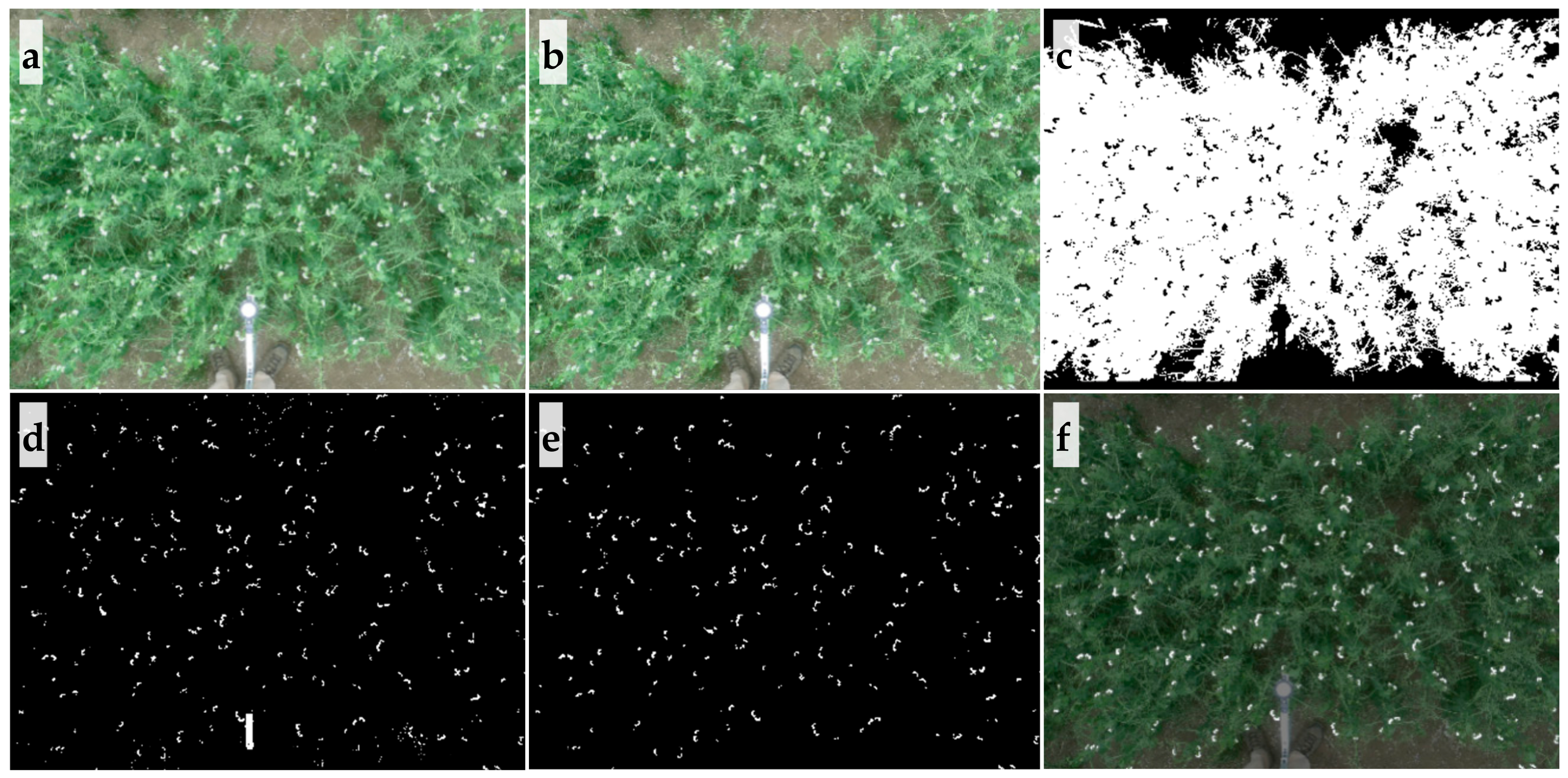 Sensors 20 01450 g002 Sensors 20 01450 g002