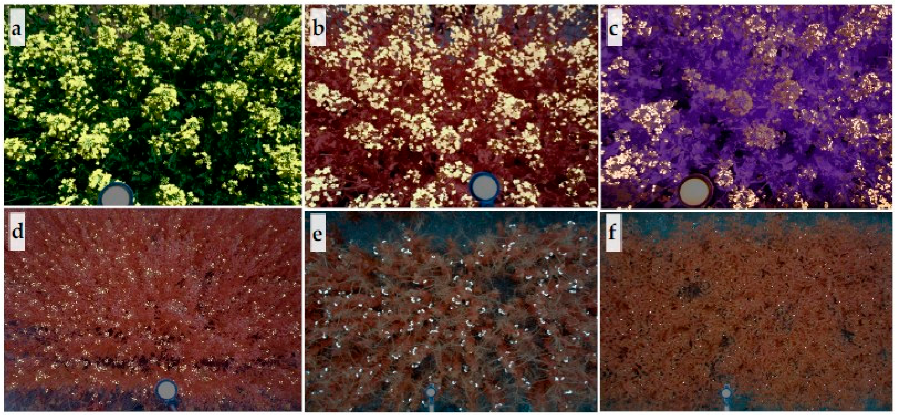 Sensors 20 01450 g003 Sensors 20 01450 g003