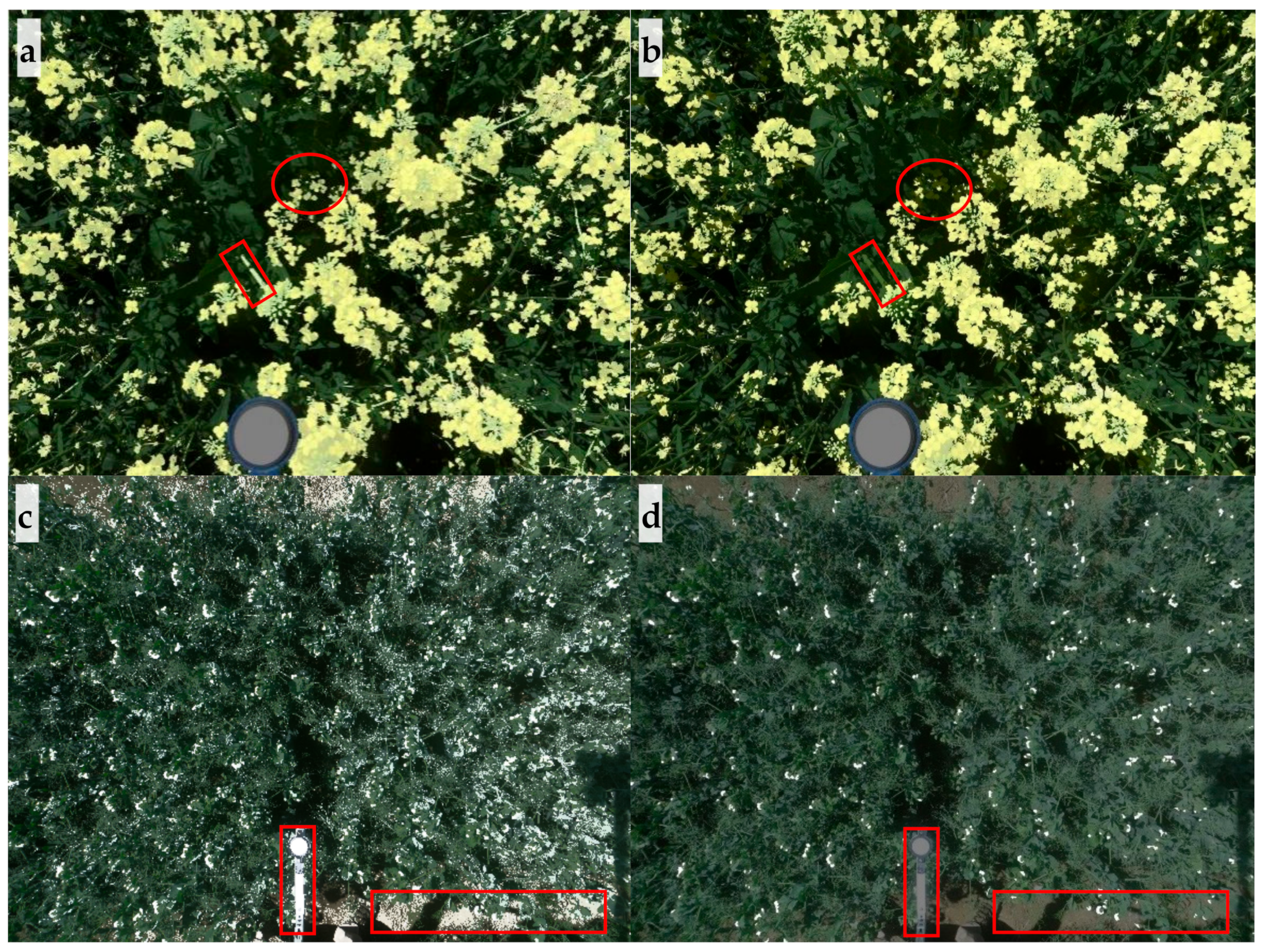 Sensors 20 01450 g006 Sensors 20 01450 g006