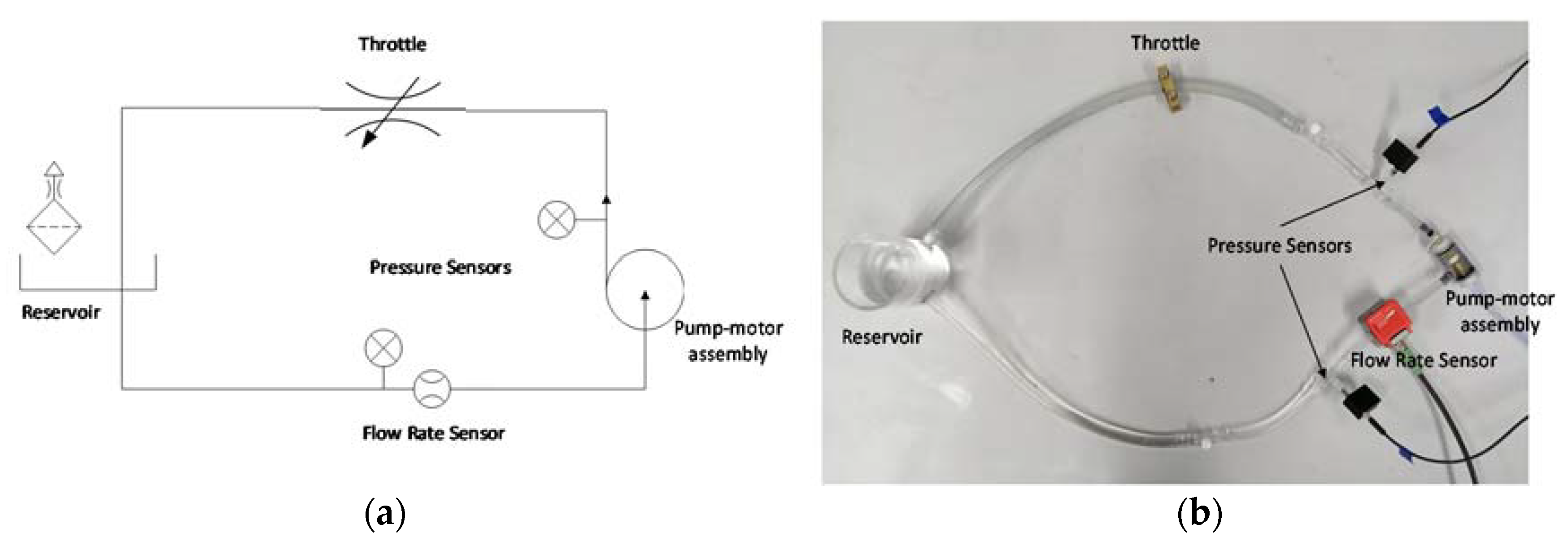 Sensors 20 01451 g001 Sensors 20 01451 g001