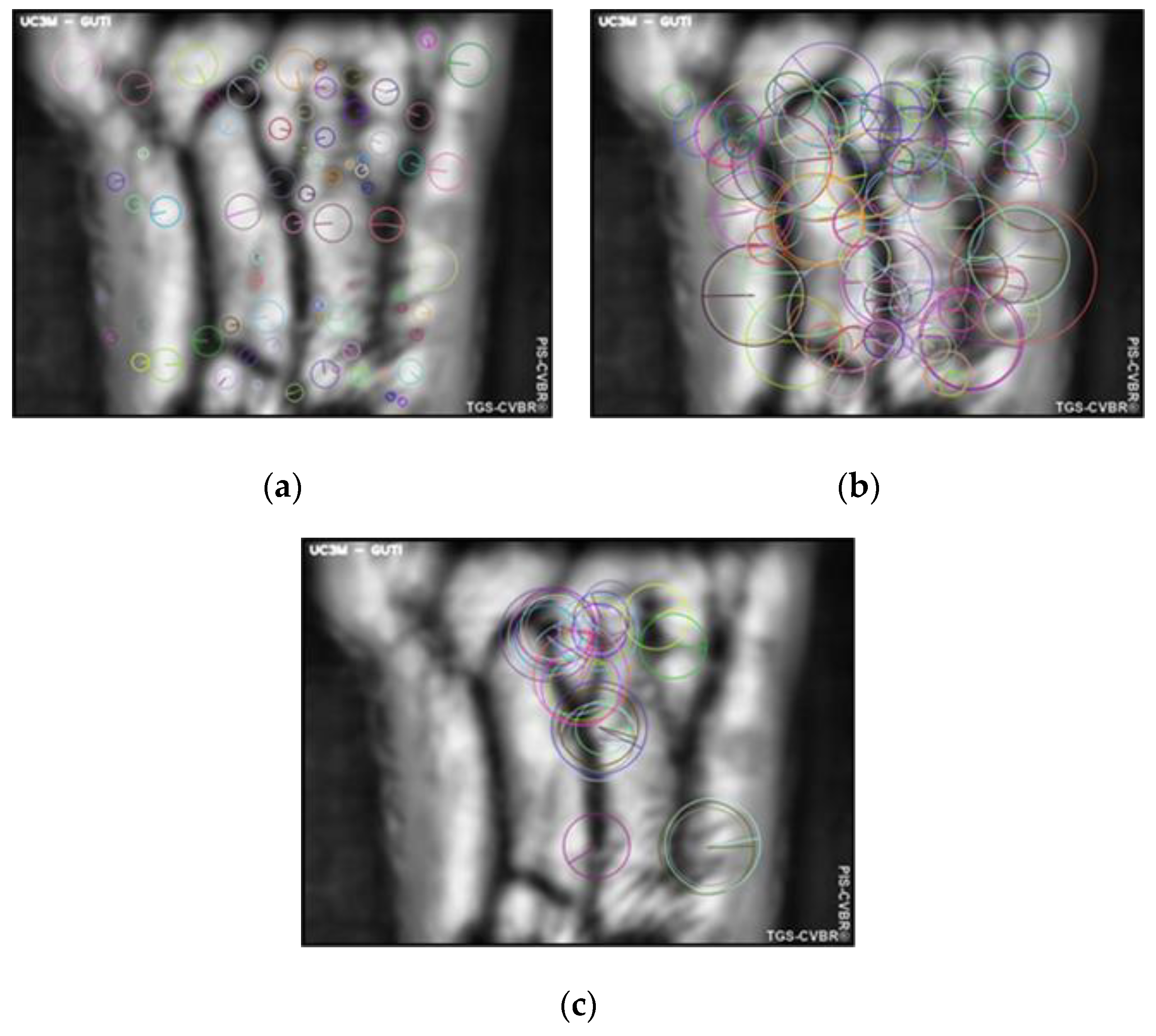 Sensors 20 01469 g004