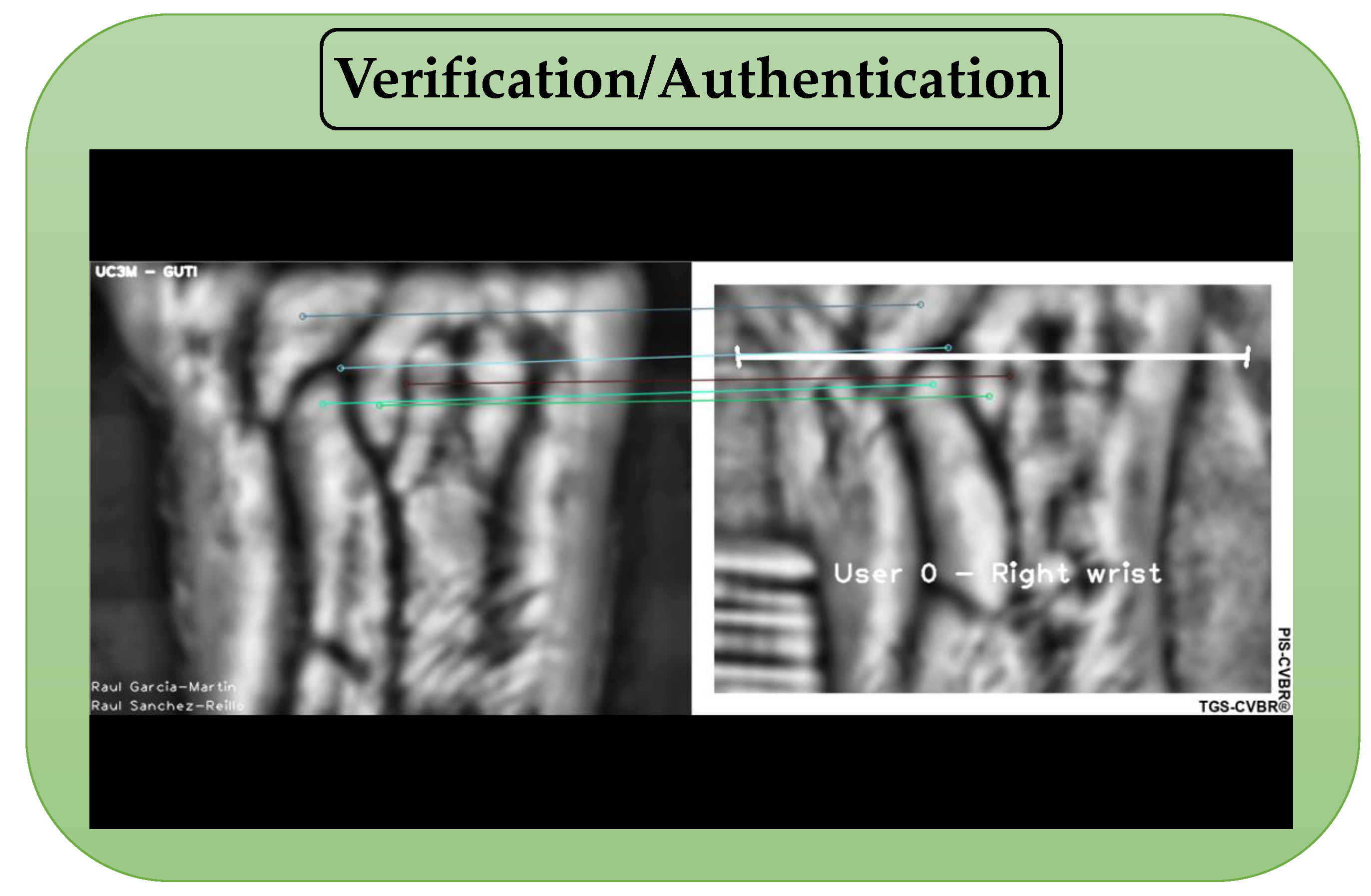 Sensors 20 01469 g007