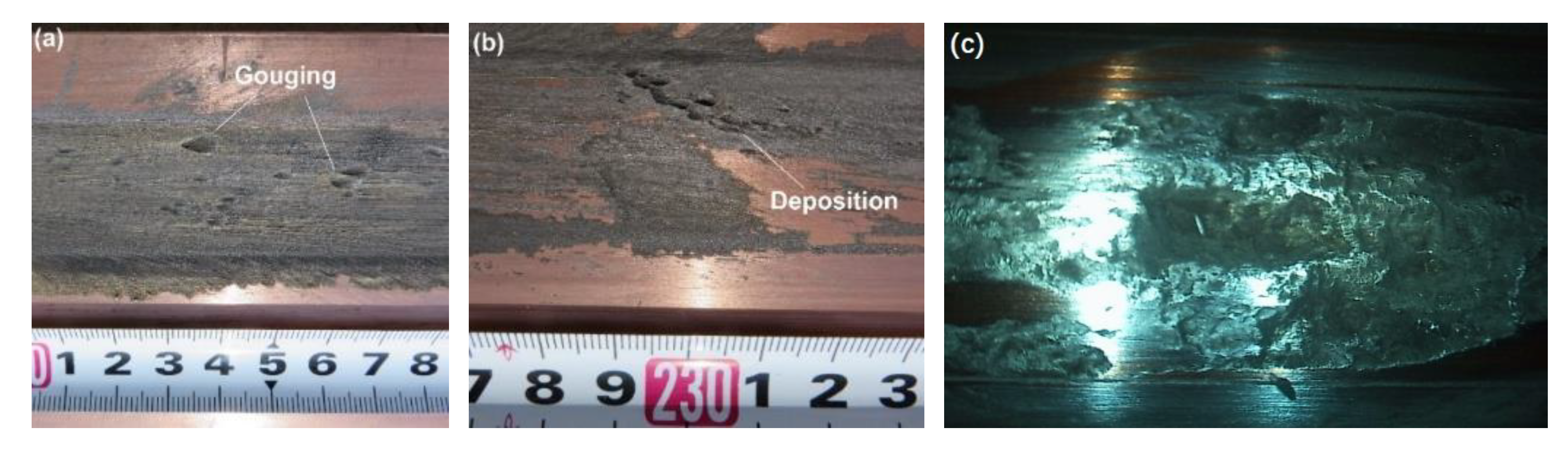 Sensors 20 01485 g001 Sensors 20 01485 g001