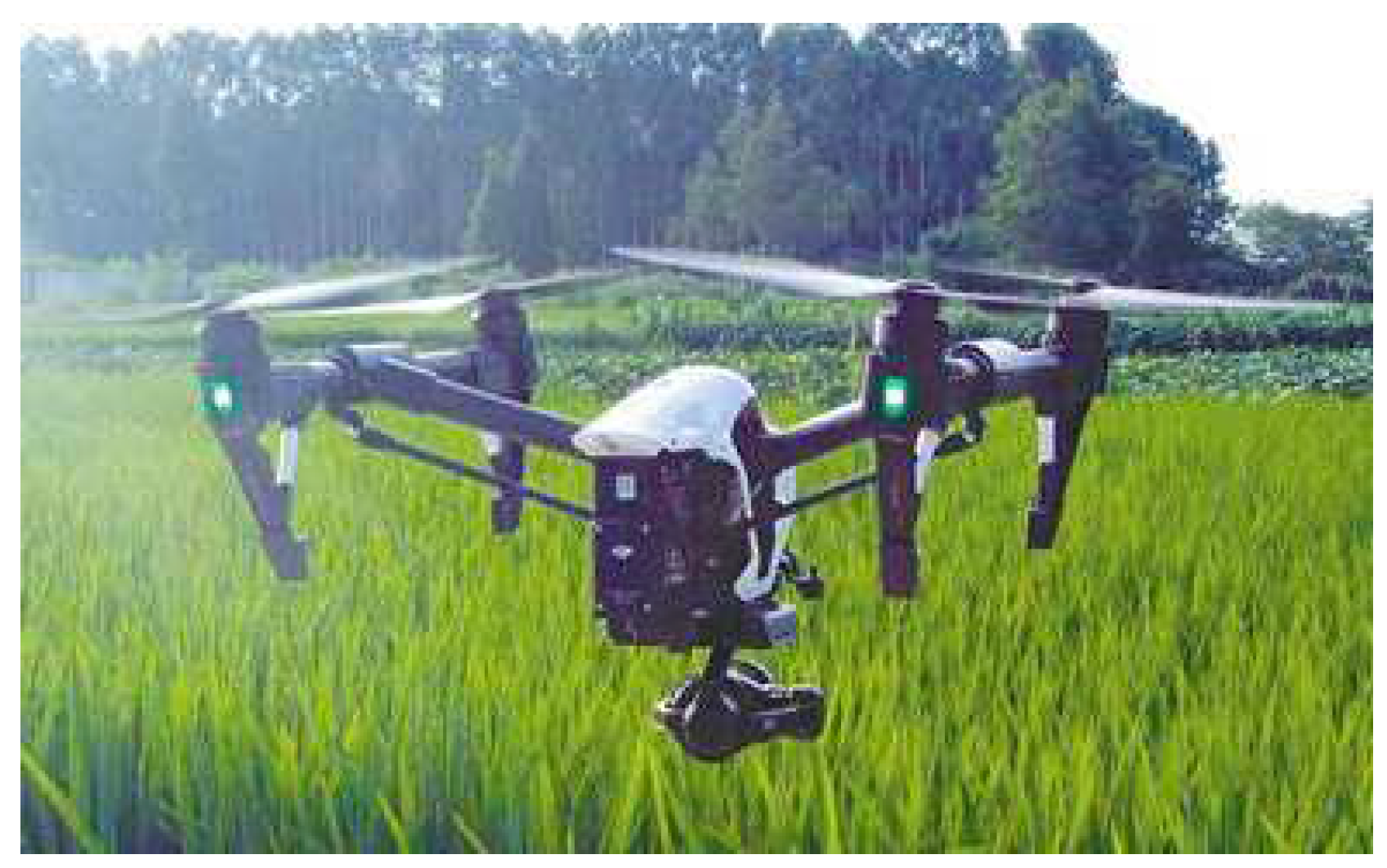 Sensors 20 01487 g010