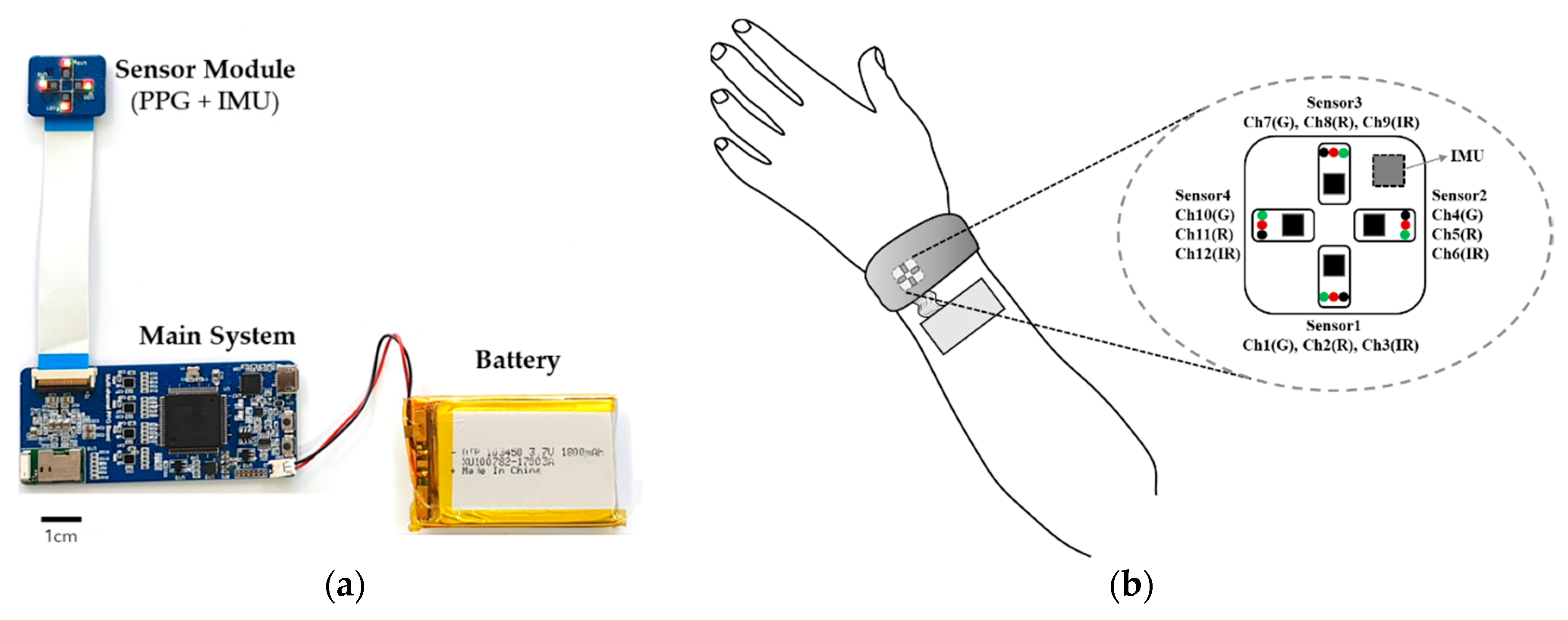 Sensors Free Full Text Motion Artifact Reduction In Wearable Photoplethysmography Based On Multi Channel Sensors With Multiple Wavelengths Html