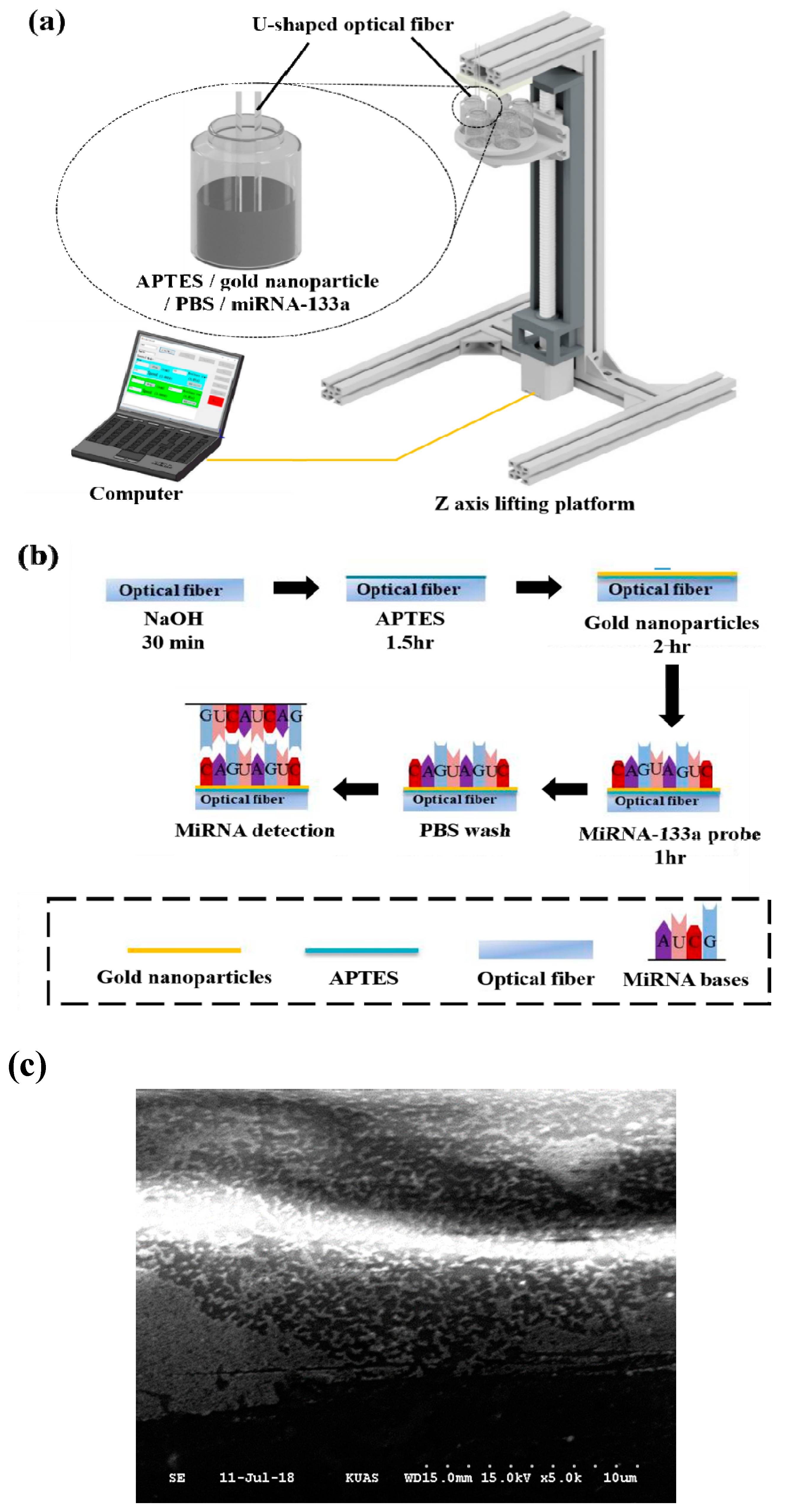Sensors 20 01509 g002