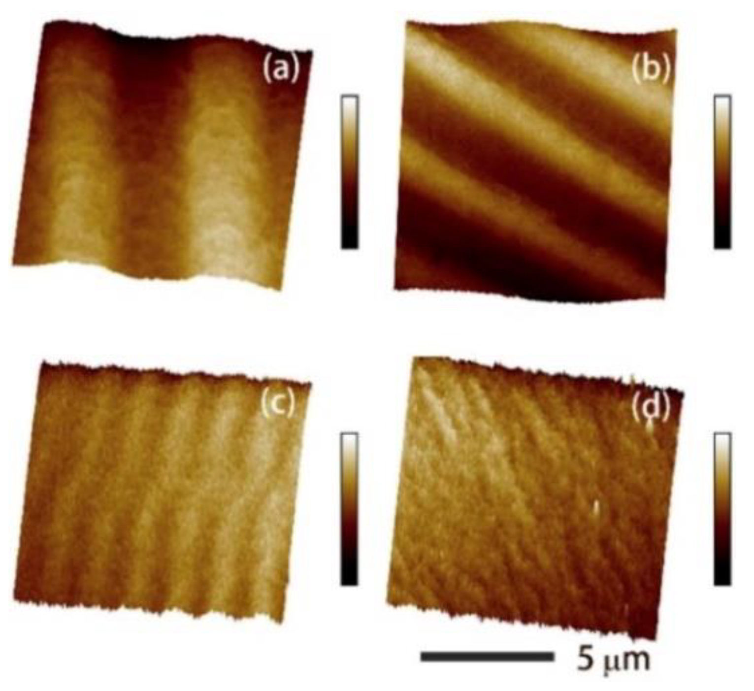 Sensors 20 01532 g015