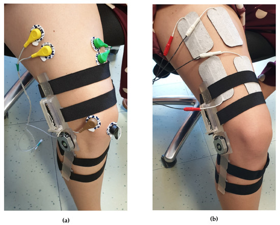 Embedded Bio-Mimetic System for Functional Electrical Stimulation