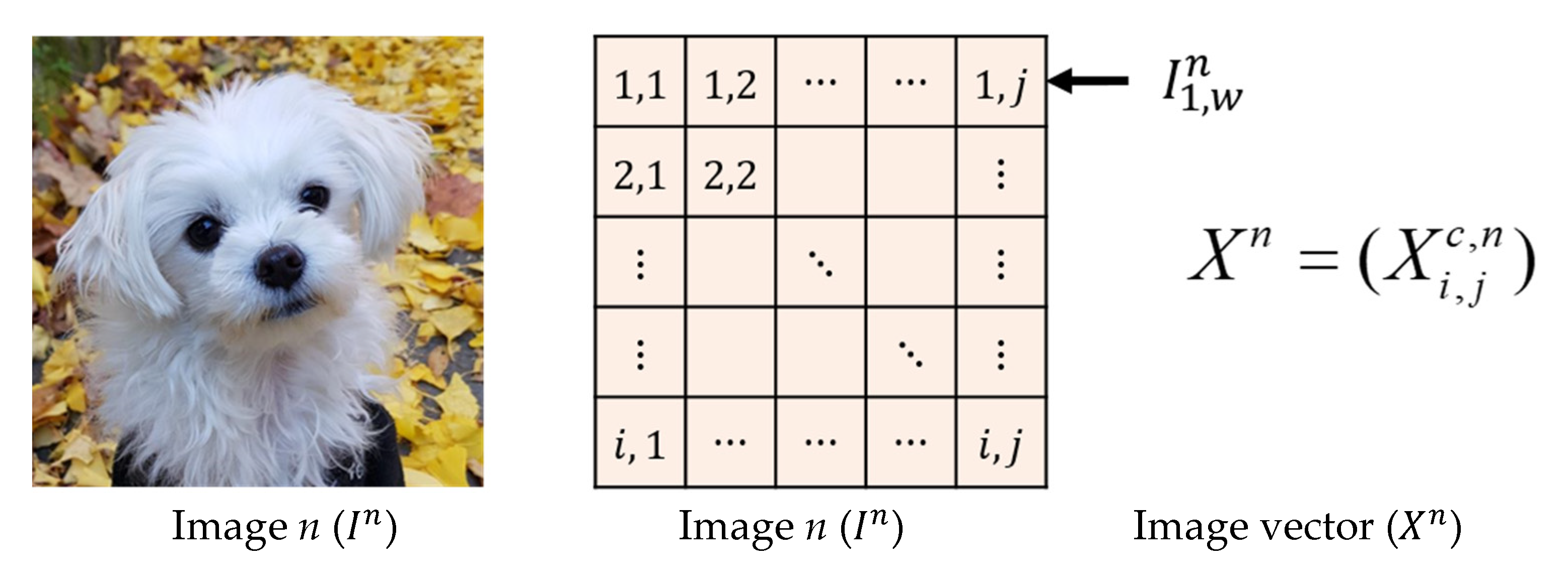 Sensors 20 01548 g002