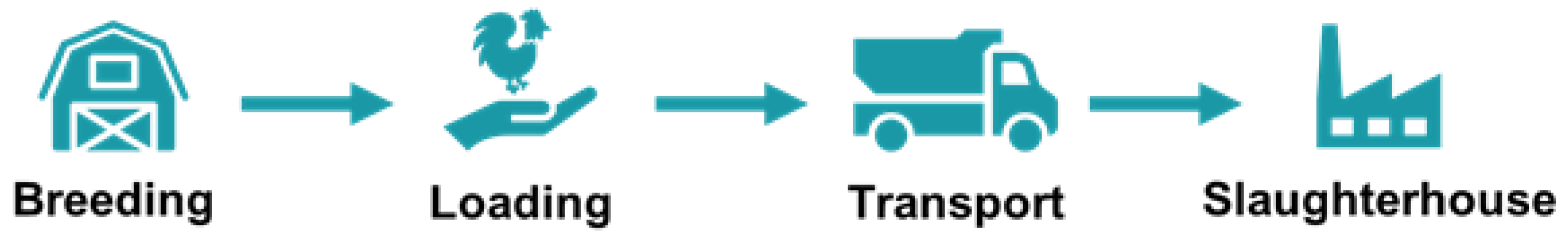 Sensors 20 01549 g002 Sensors 20 01549 g002