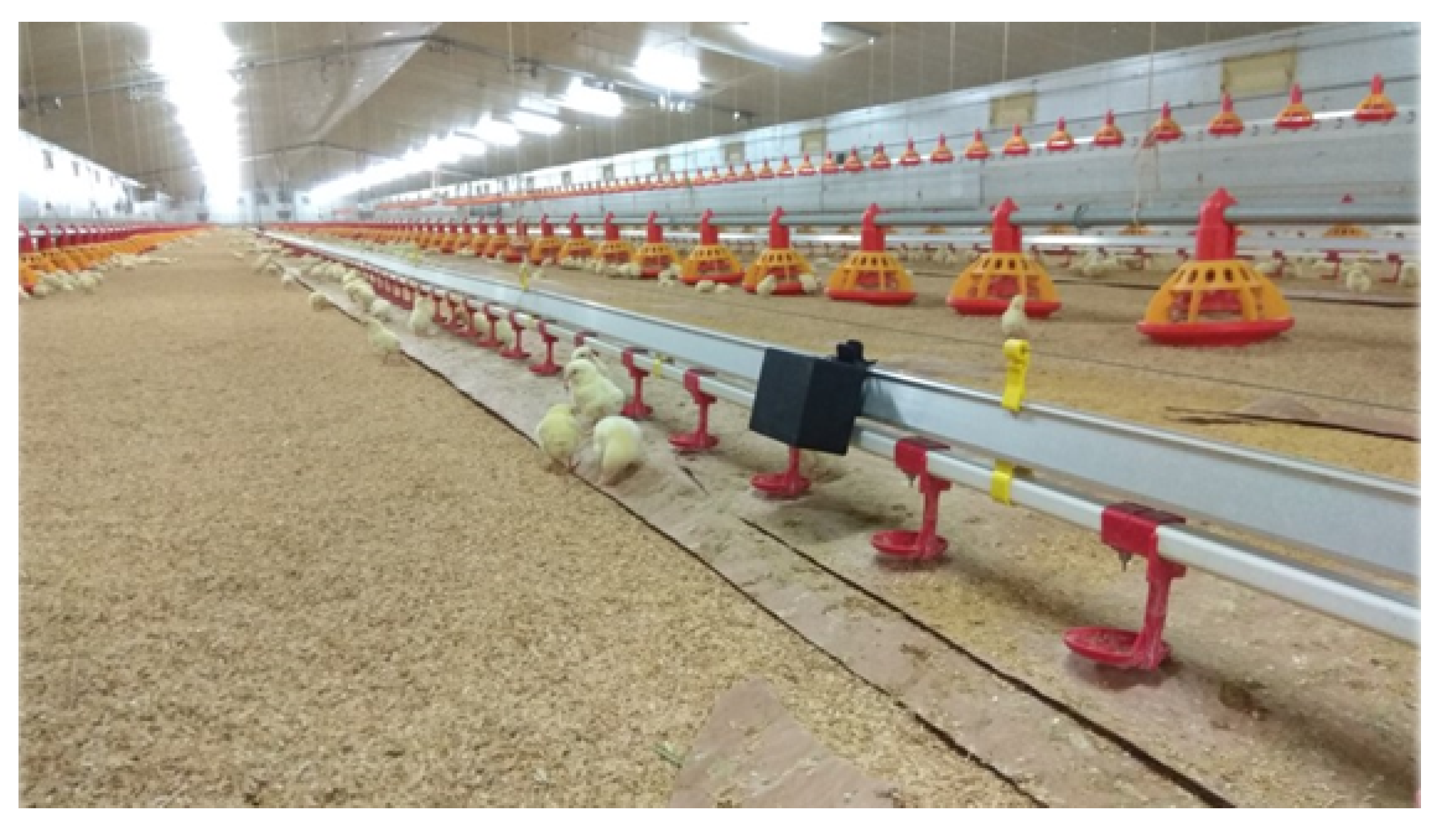 Sensors 20 01549 g004 Sensors 20 01549 g004