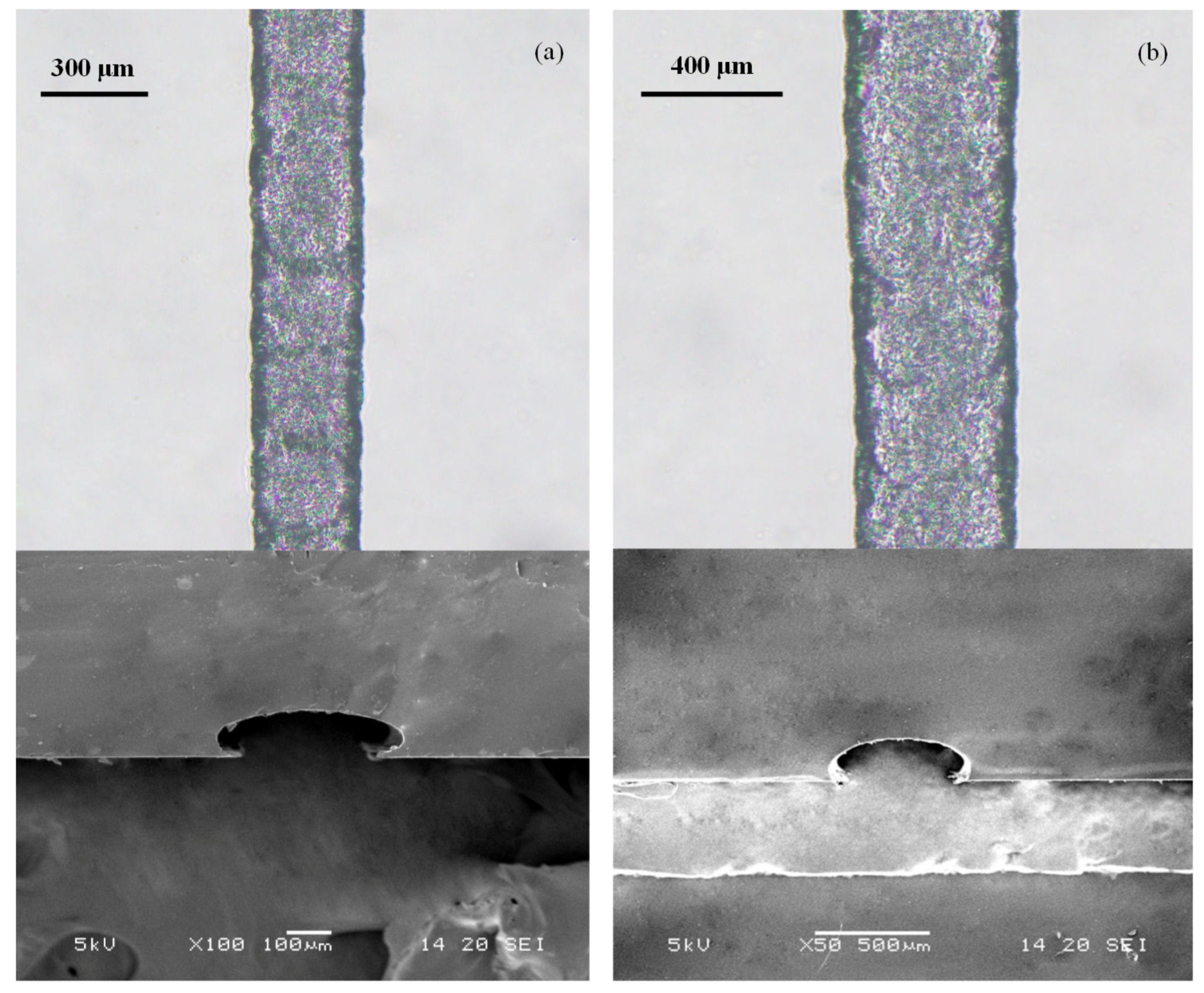 Sensors 20 01559 g011 Sensors 20 01559 g011
