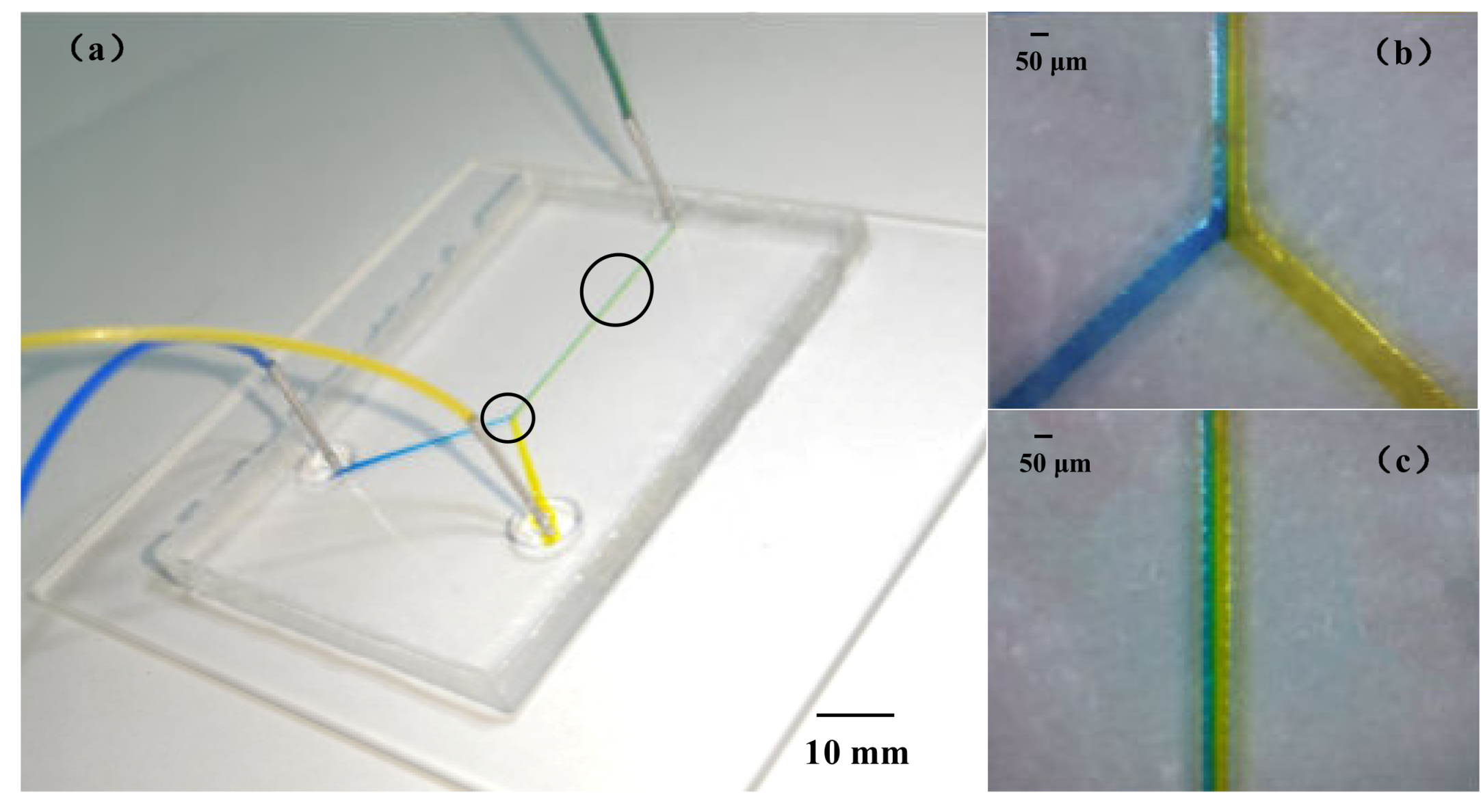 Sensors 20 01559 g012 Sensors 20 01559 g012