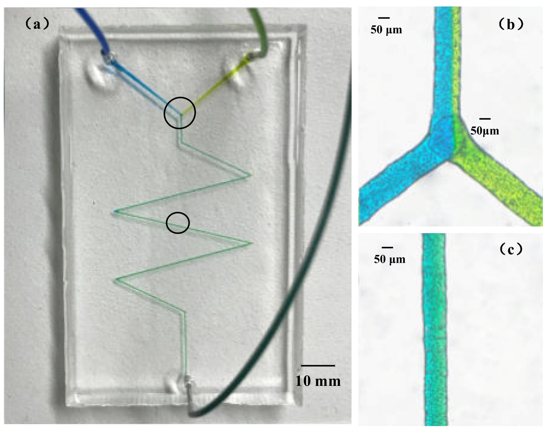 Sensors 20 01559 g013 Sensors 20 01559 g013