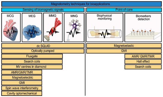 Physics - Magnetizing Diamonds with Light