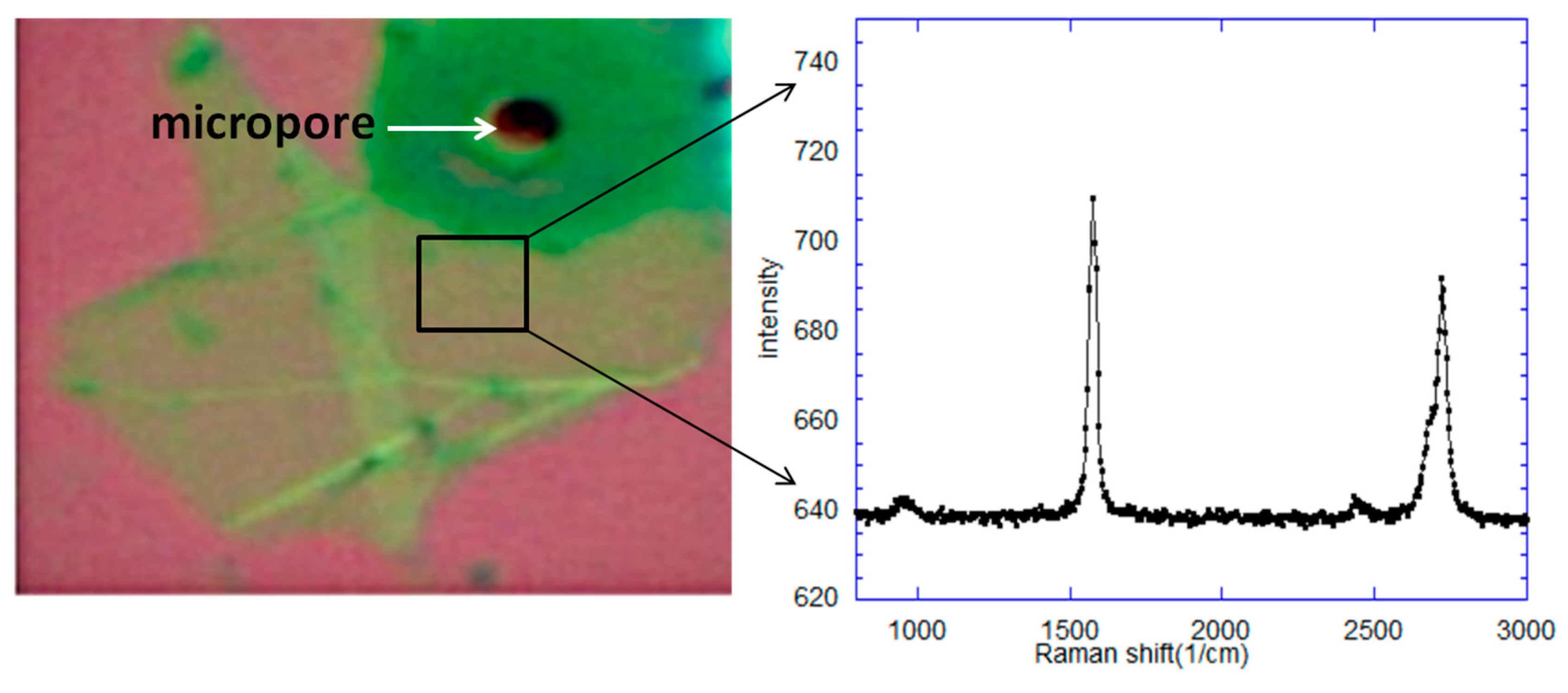 Sensors 20 01572 g004 Sensors 20 01572 g004