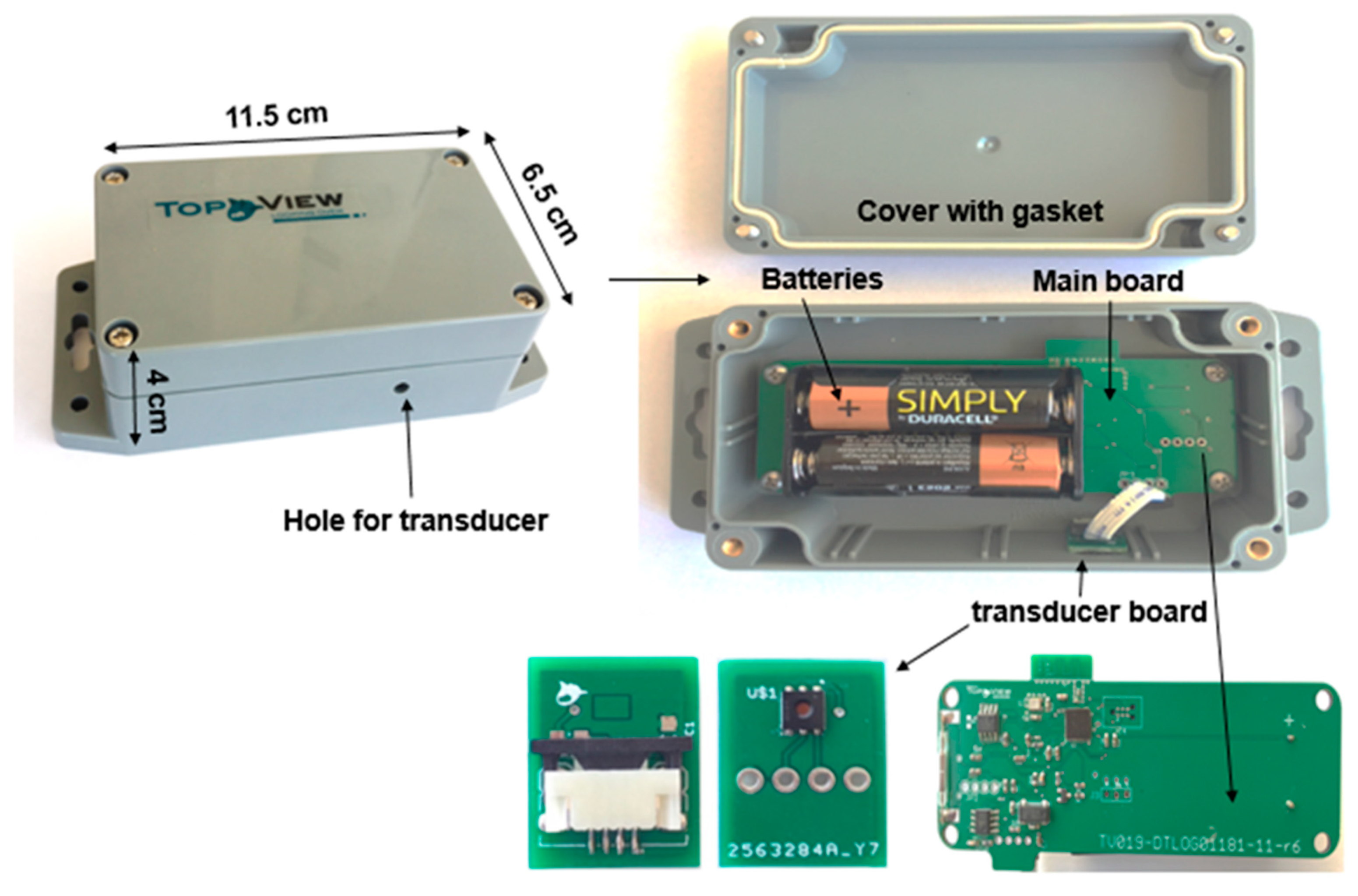 Sensors 20 01589 g002