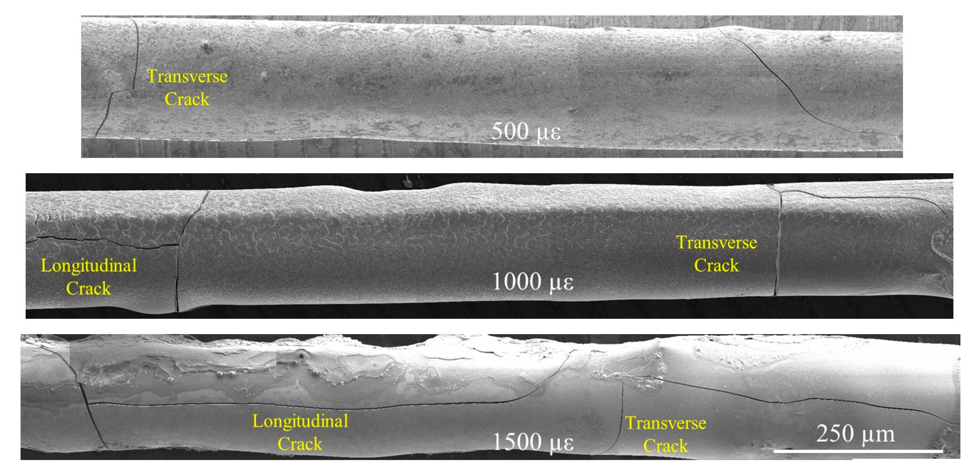 Sensors 20 01598 g006 Sensors 20 01598 g006