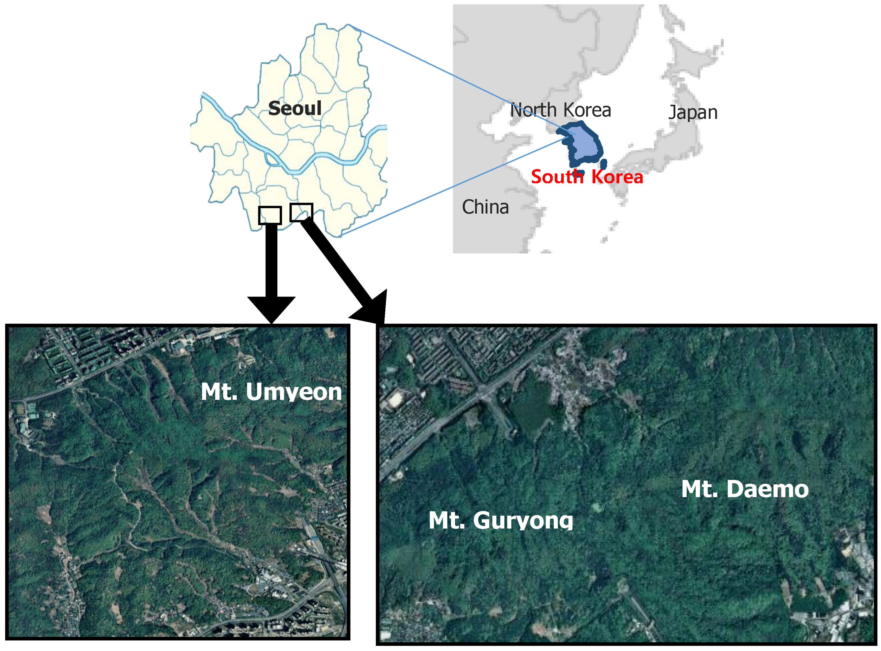 Sensors 20 01611 g001 Sensors 20 01611 g001